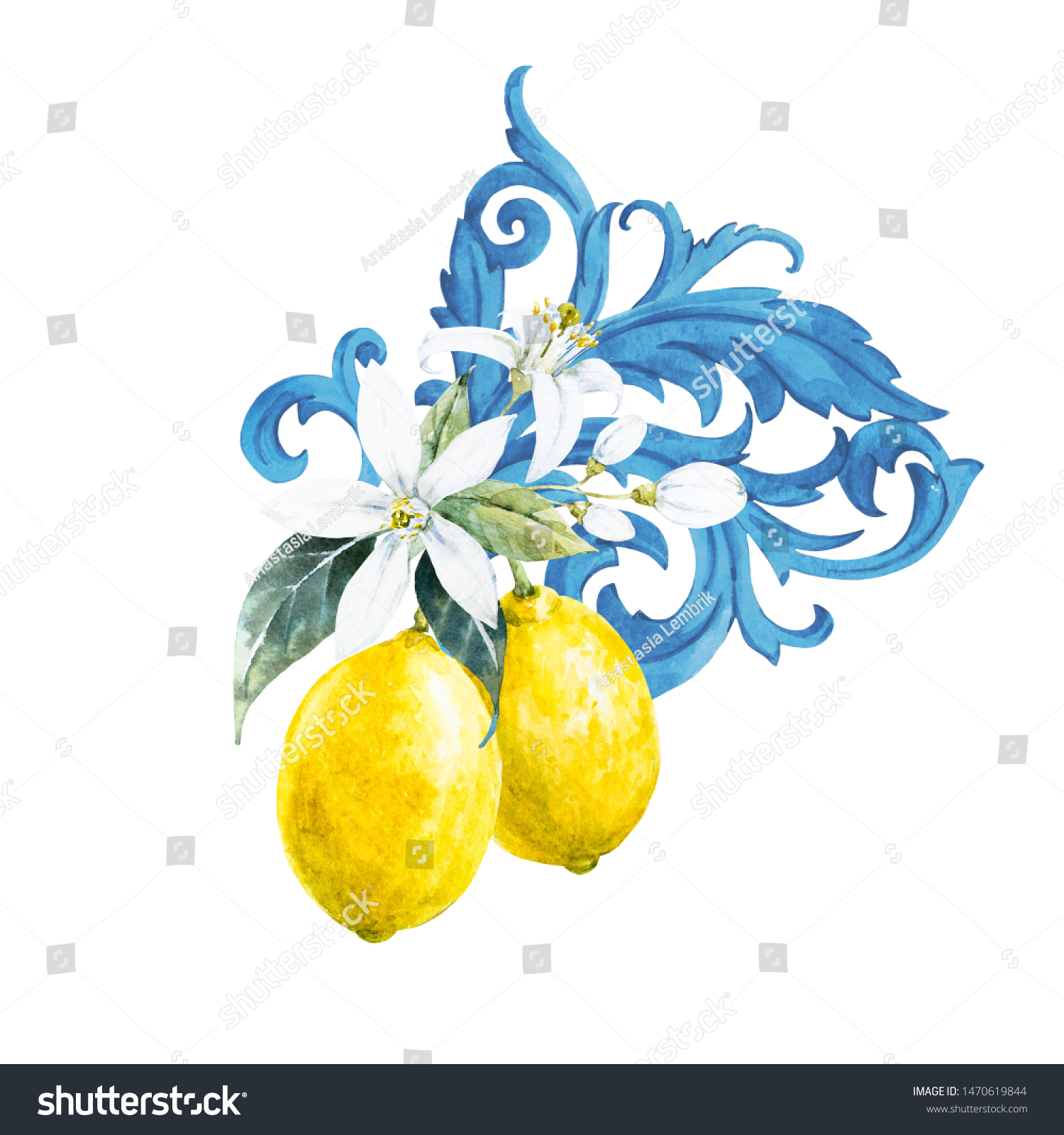 レモンとレモンの花の水彩イラスト 青のバロックの装飾 のイラスト素材
