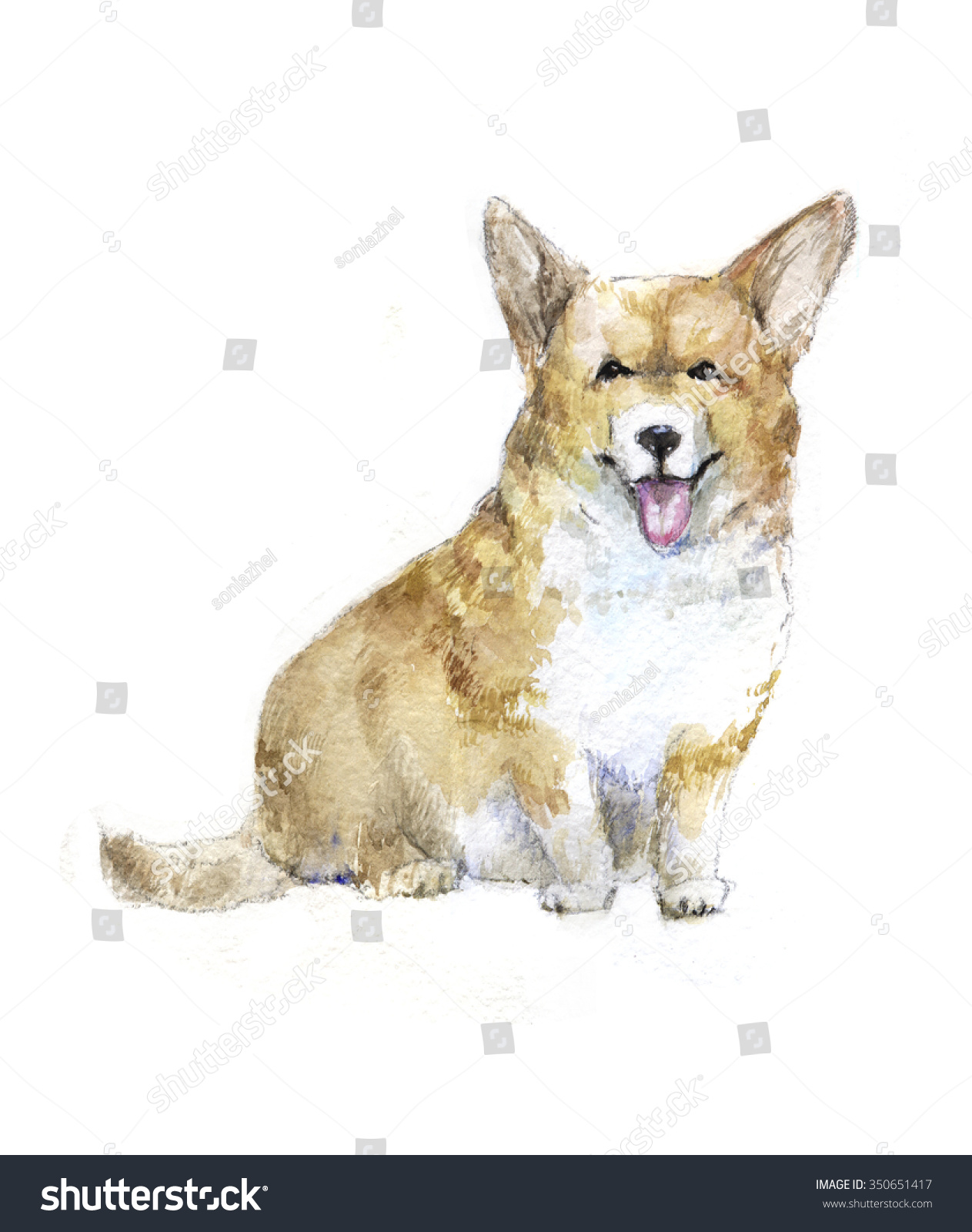 Watercolor Illustration Pembroke Welsh Corgi Dog Stock Illustration ...