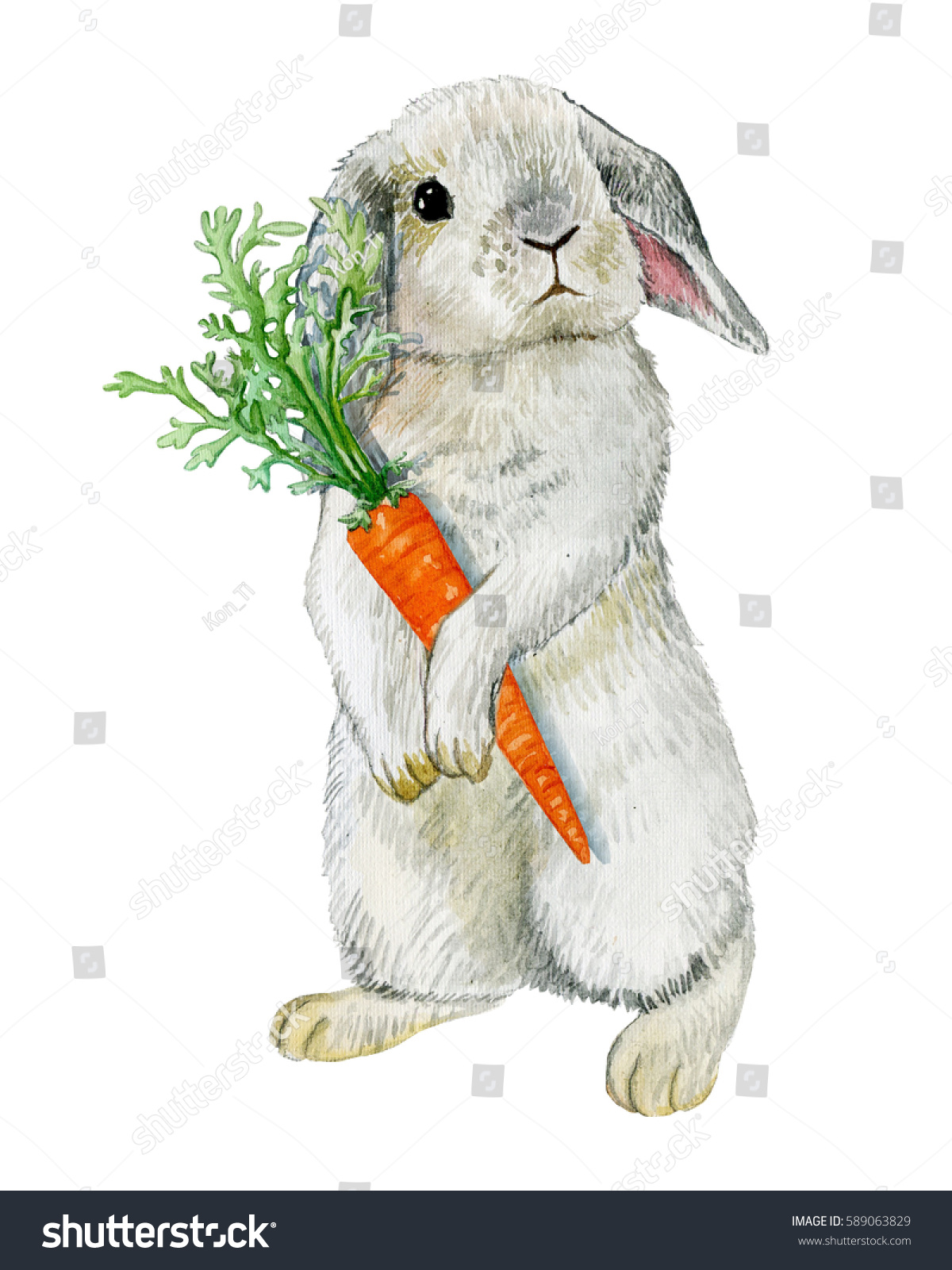 Watercolor Illustration Rabbit Carrot Hand Draw Stock Illustration