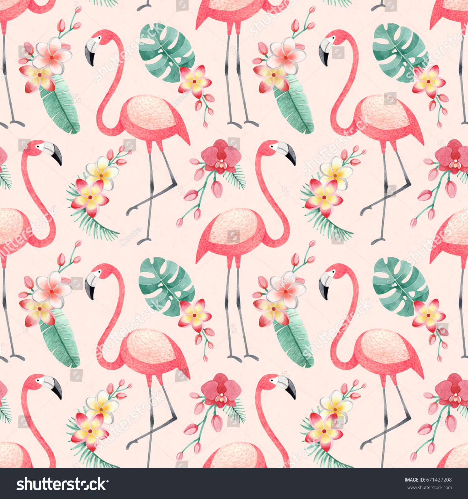 Watercolor Illustrations Flamingos Tropical Flowers Leaves Stock ...