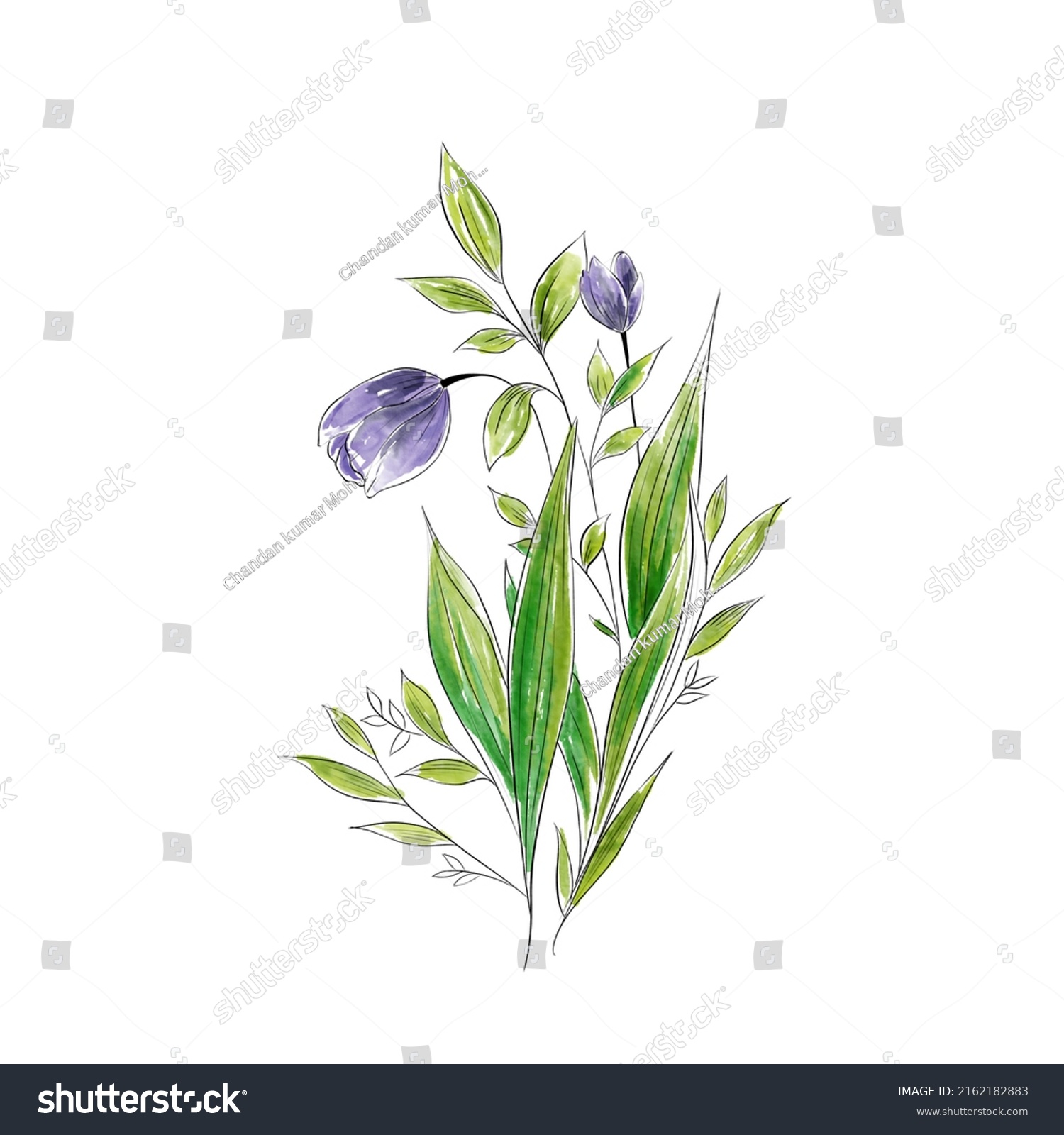 Watercolor May Birth Flower Hand Painted Stock Illustration 2162182883