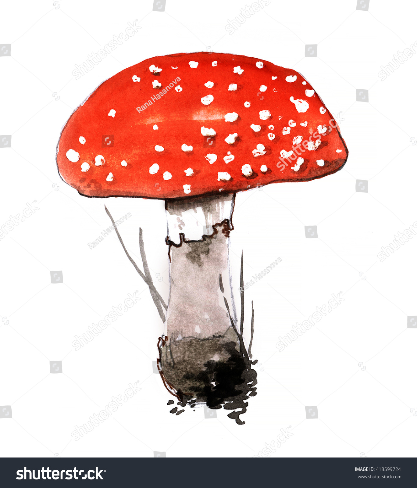 Watercolor Mushroom Fly Agaric Amanita Muscaria のイラスト素材