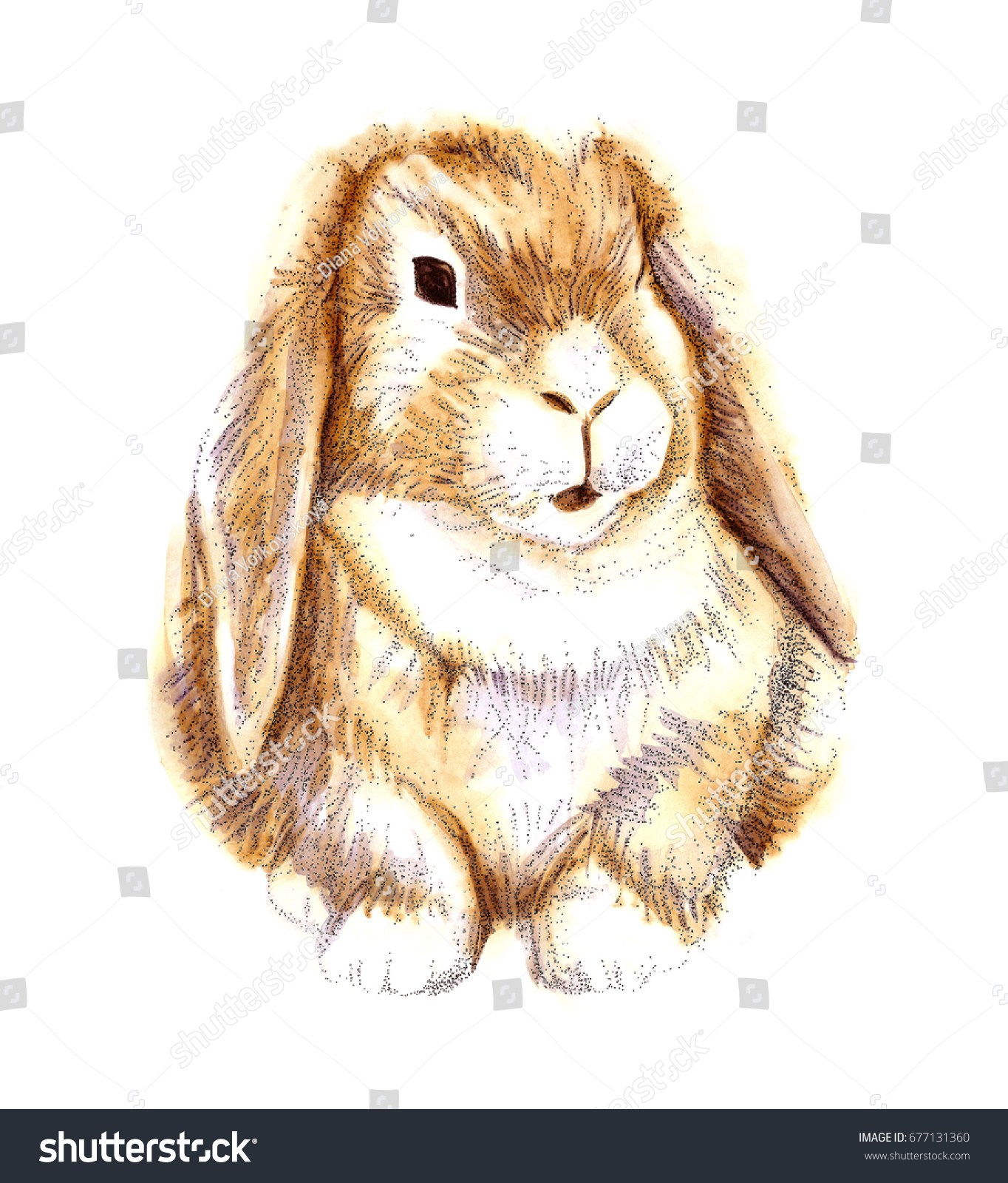 Watercolor Orange Red Rabbit Pointillism Animal Stock Illustration ...