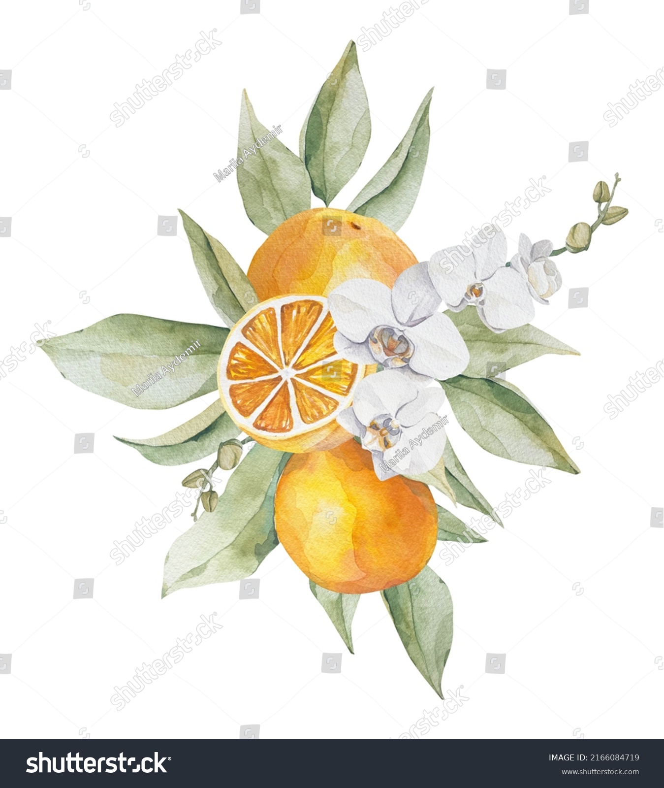 Watercolor Orange Greenery Orchids Bouquet Clipart Stock Illustration ...