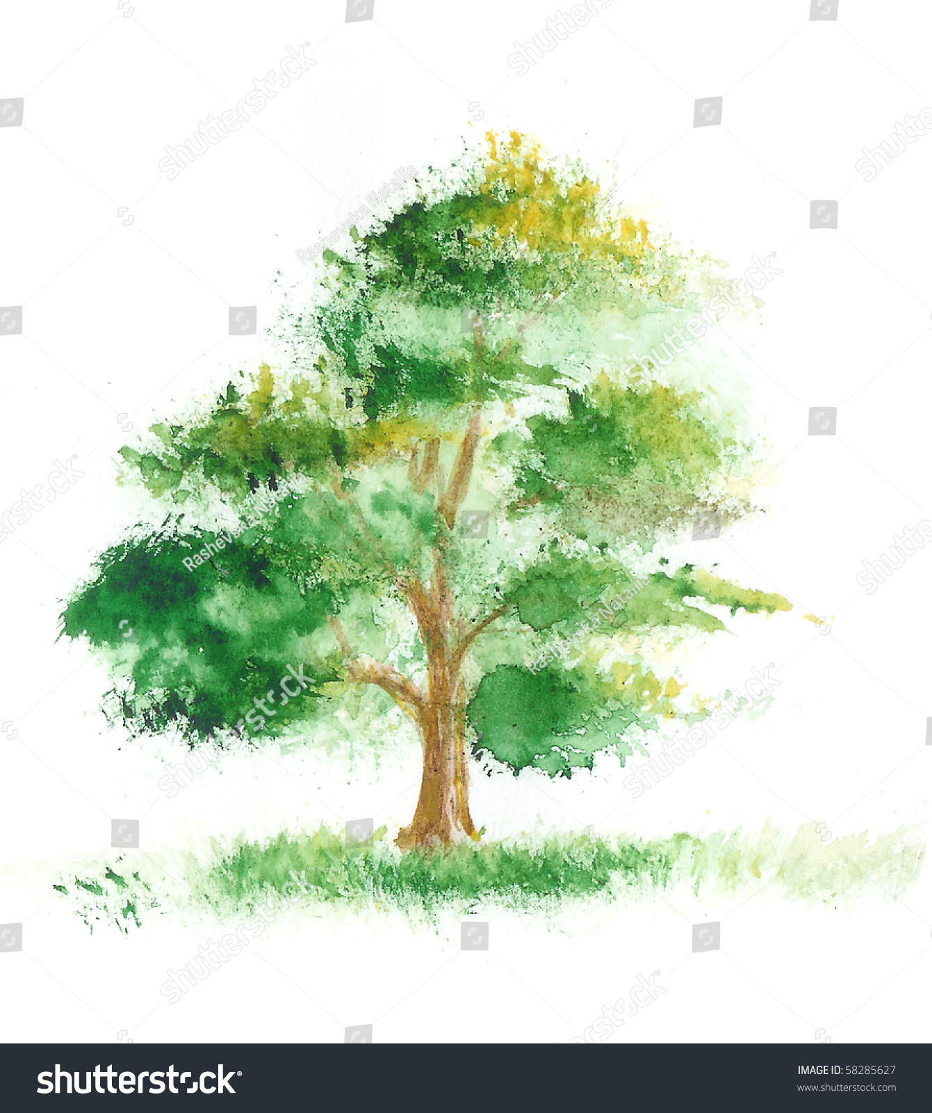 Watercolor Painting Of A Tree On A White Background Stock Photo ...