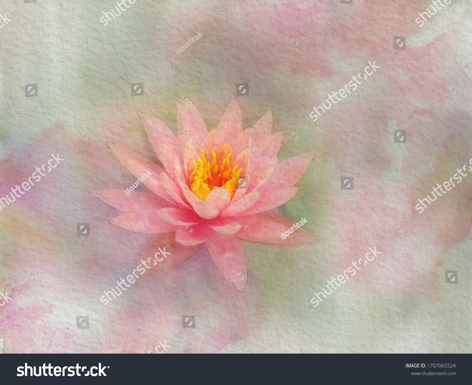 Watercolor Painting Pink Water Lily Lotus Stock Illustration 1707065524