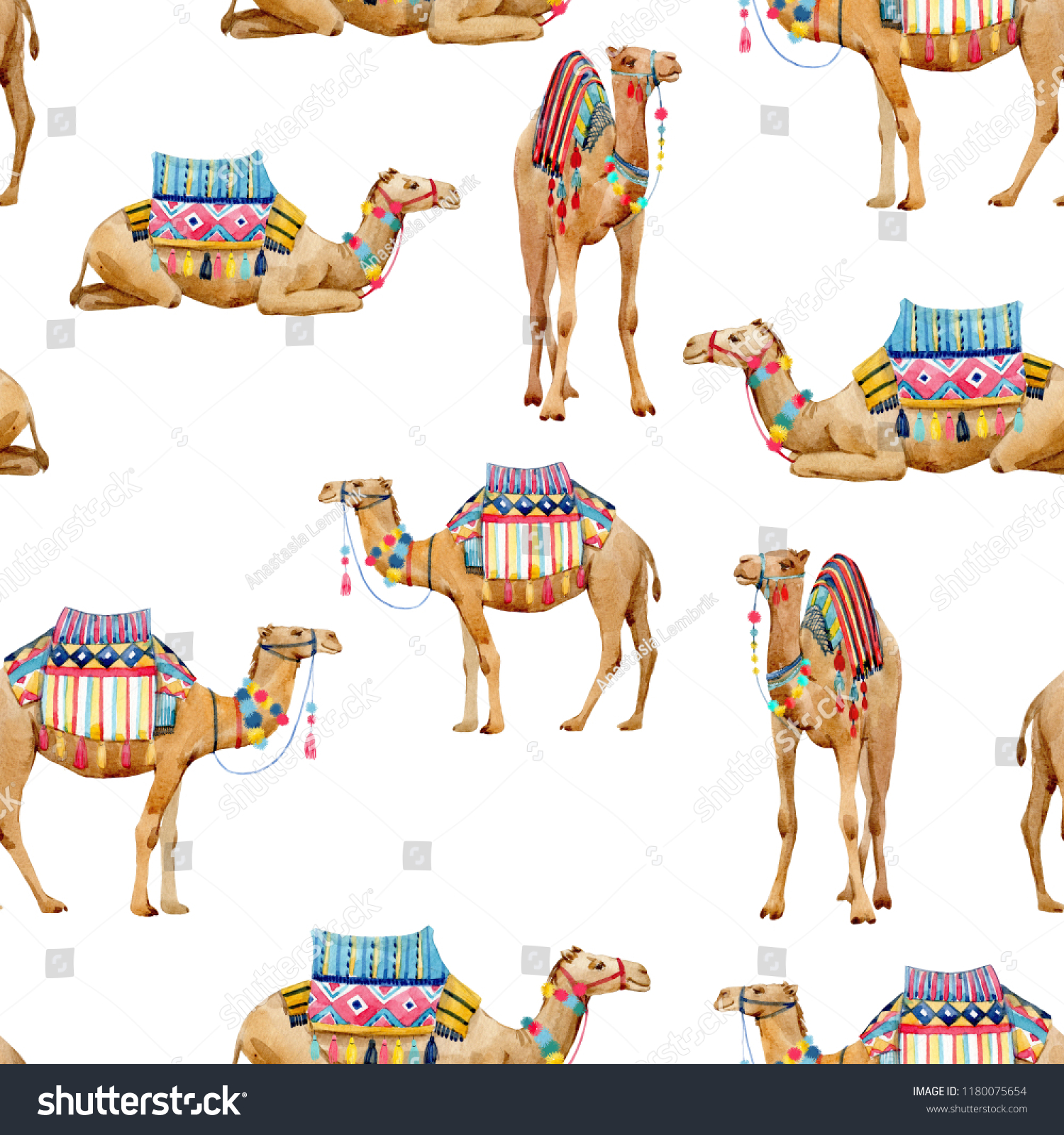 camelcamel camel
