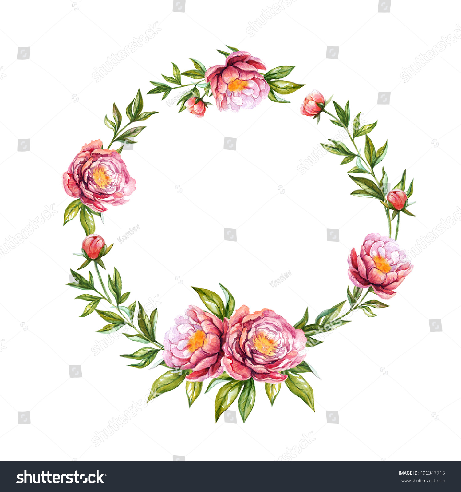 Watercolor Peonies Wreath Hand Painted Floral Stock Illustration ...