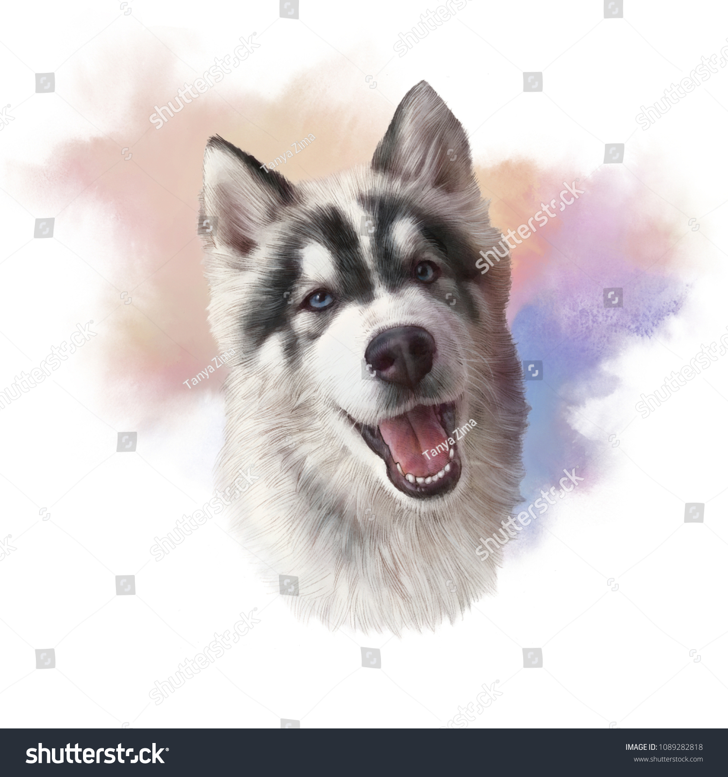 Watercolor Portrait Siberian Husky Blue Eyes Stock Illustration 1089282818