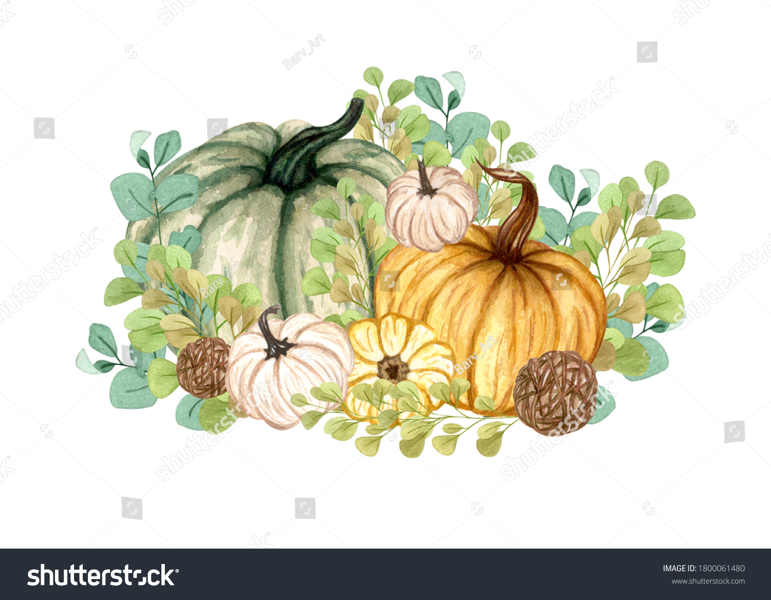 Download Watercolor Pumpkin Composition Floral Pumpkins Halloween Stock Illustration 1800061480