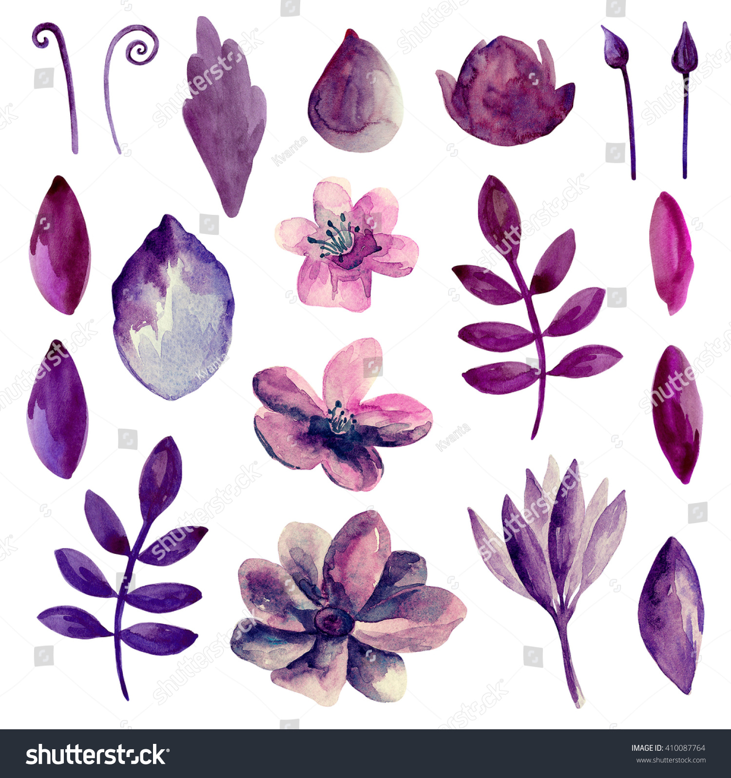 Watercolor Purple Pink Flowers Clipart Violet Stock Illustration 410087764