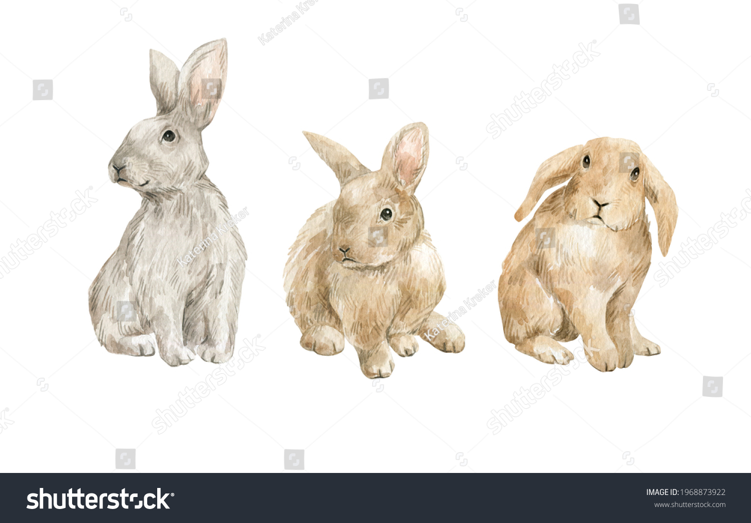 Watercolor Rabbits Cute Forest Animals Fluffy Stock Illustration ...