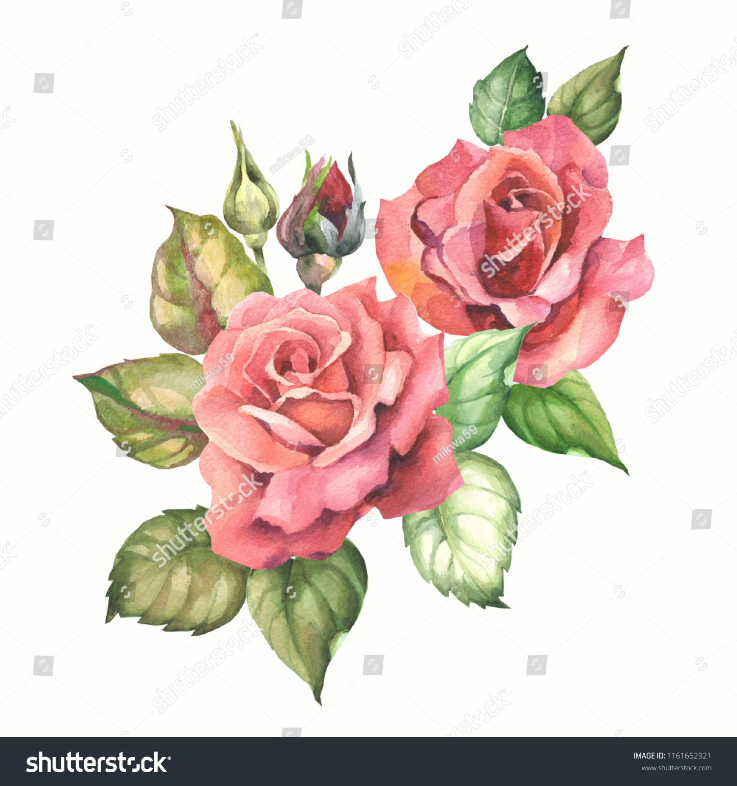 Watercolor Red Roses Leaves Stock Illustration 1161652921