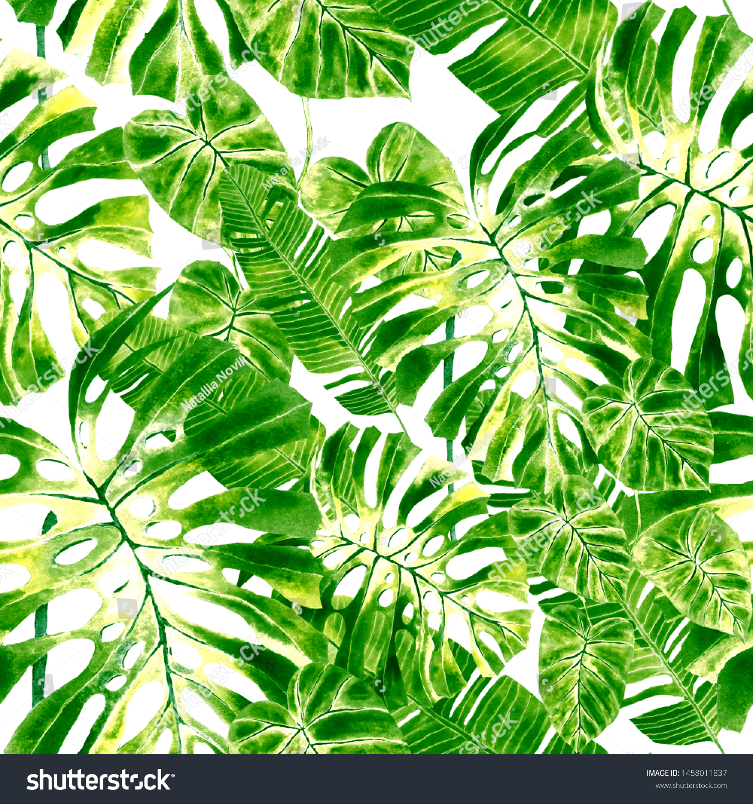 「熱帯モンステラ、ヤシの葉、緑の葉のシームレスなパターン背景 