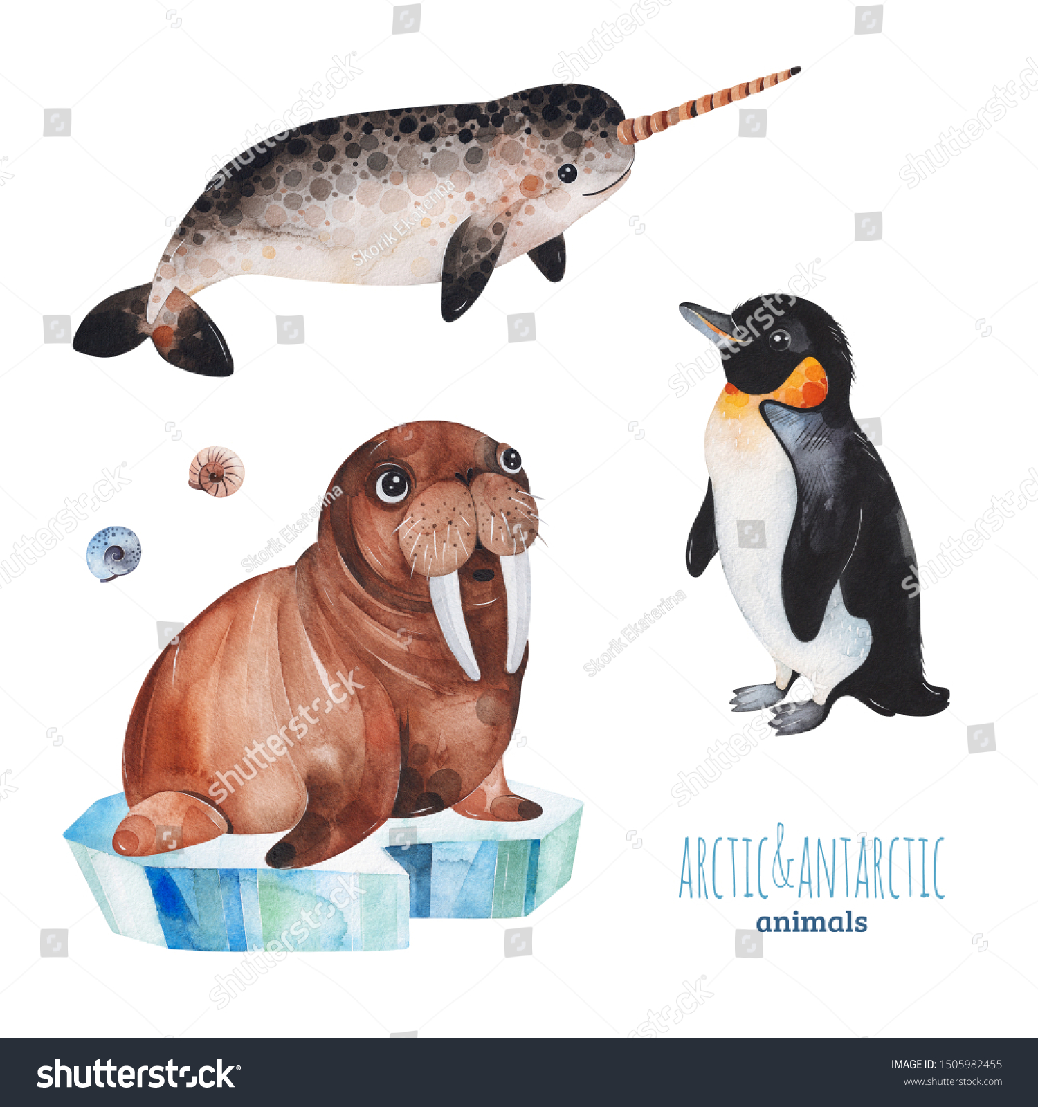 かわいいペンギン ナーホール セイウチの北極や南極の 動物を使った水彩画セット プロジェクト 印刷 スクラップブック ベビーシャワー バースデーカード 招待状 グリーティングカードなどに最適 のイラスト素材