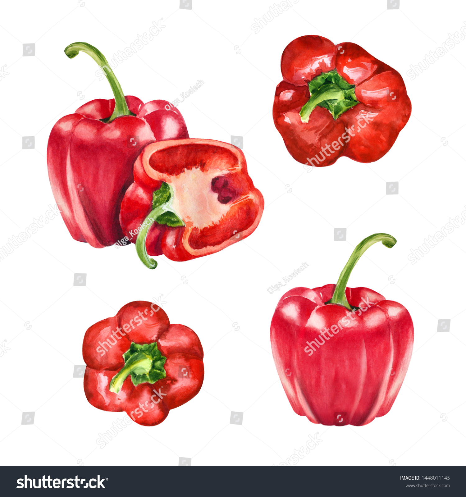 Watercolor Set Isolated Riped Red Paprika Stock Illustration 1448011145