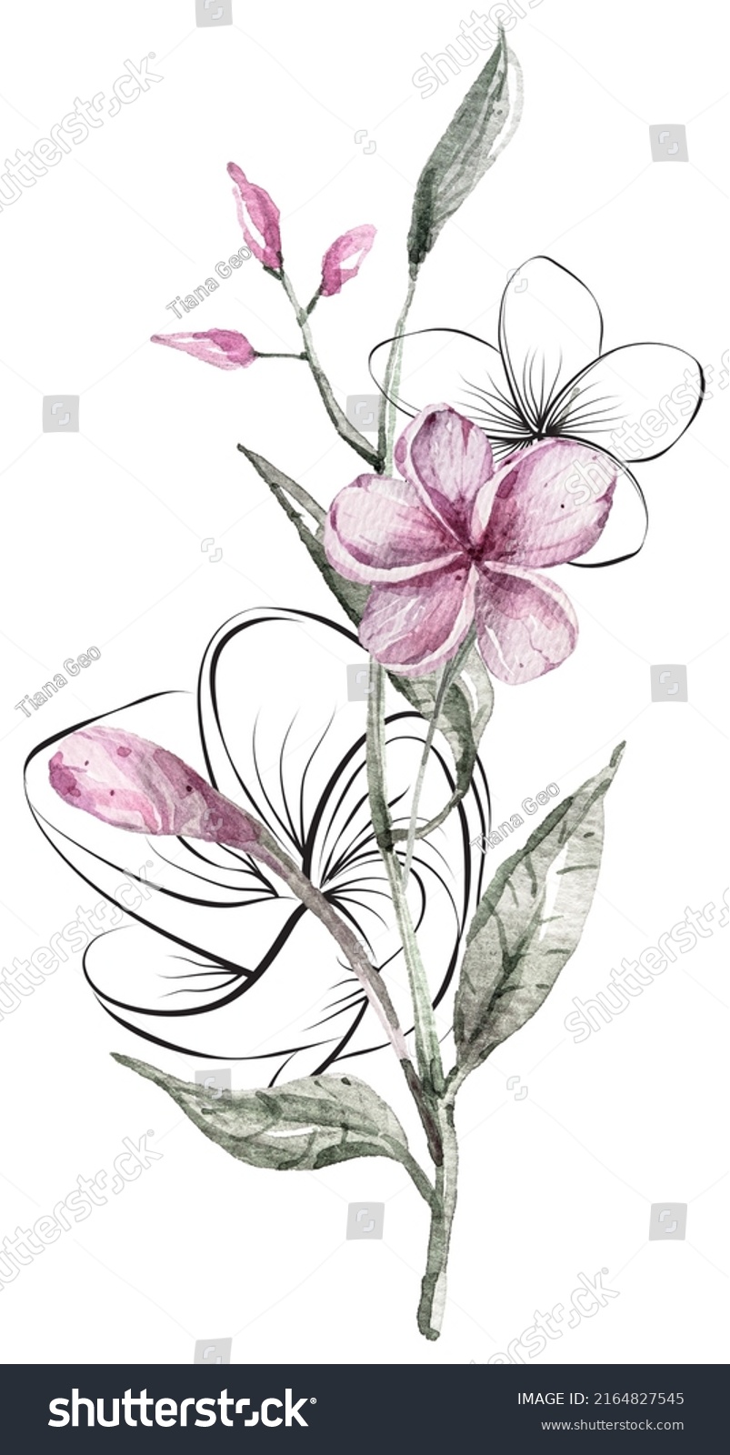 Watercolor Tropical Clipart Line Art Composition Stock Illustration ...