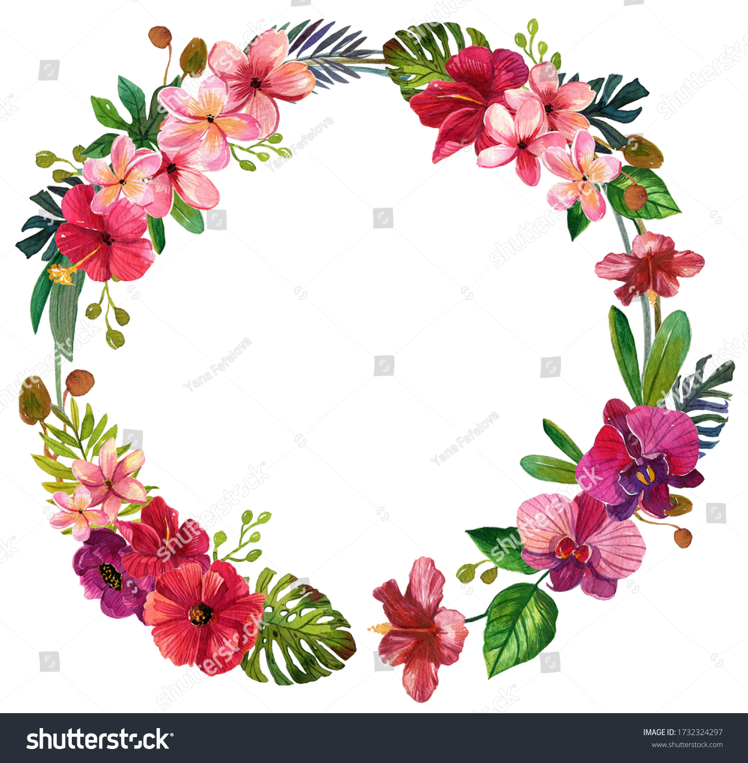 水彩の熱帯の花がクリップアート 熱帯のヤシの葉 プルメリア 蘭 ハワイ の花束 縁取り 結婚式の文房具 挨拶 壁紙 ファッション テンプレート はがき 白い背景に分離 のイラスト素材