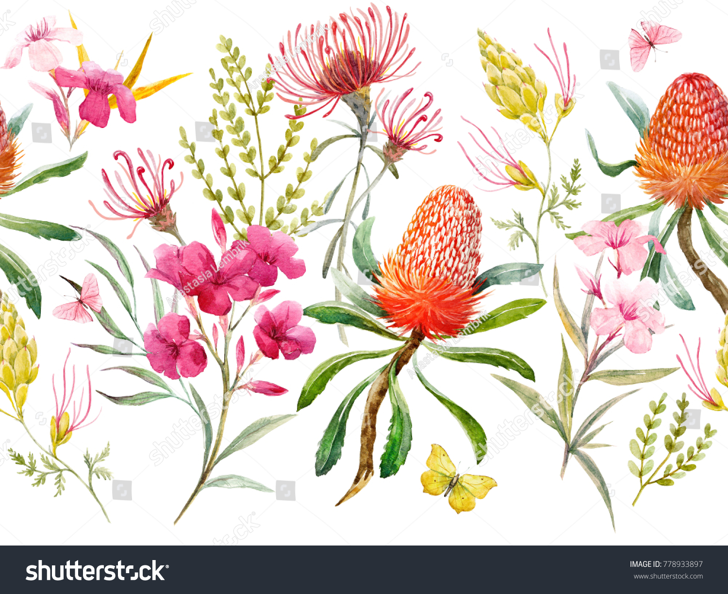 Watercolor Tropical Horizontal Pattern Flowers Banksias Stock ...