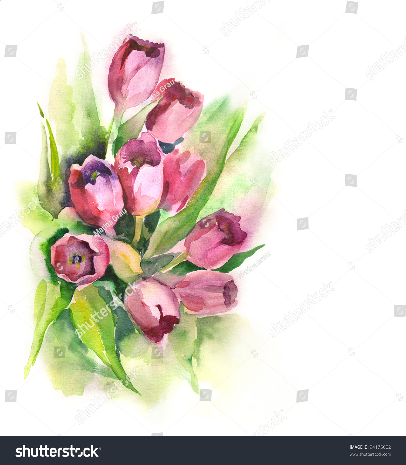 Watercolor Tulips Bunch Stock Illustration 94175602 - Shutterstock