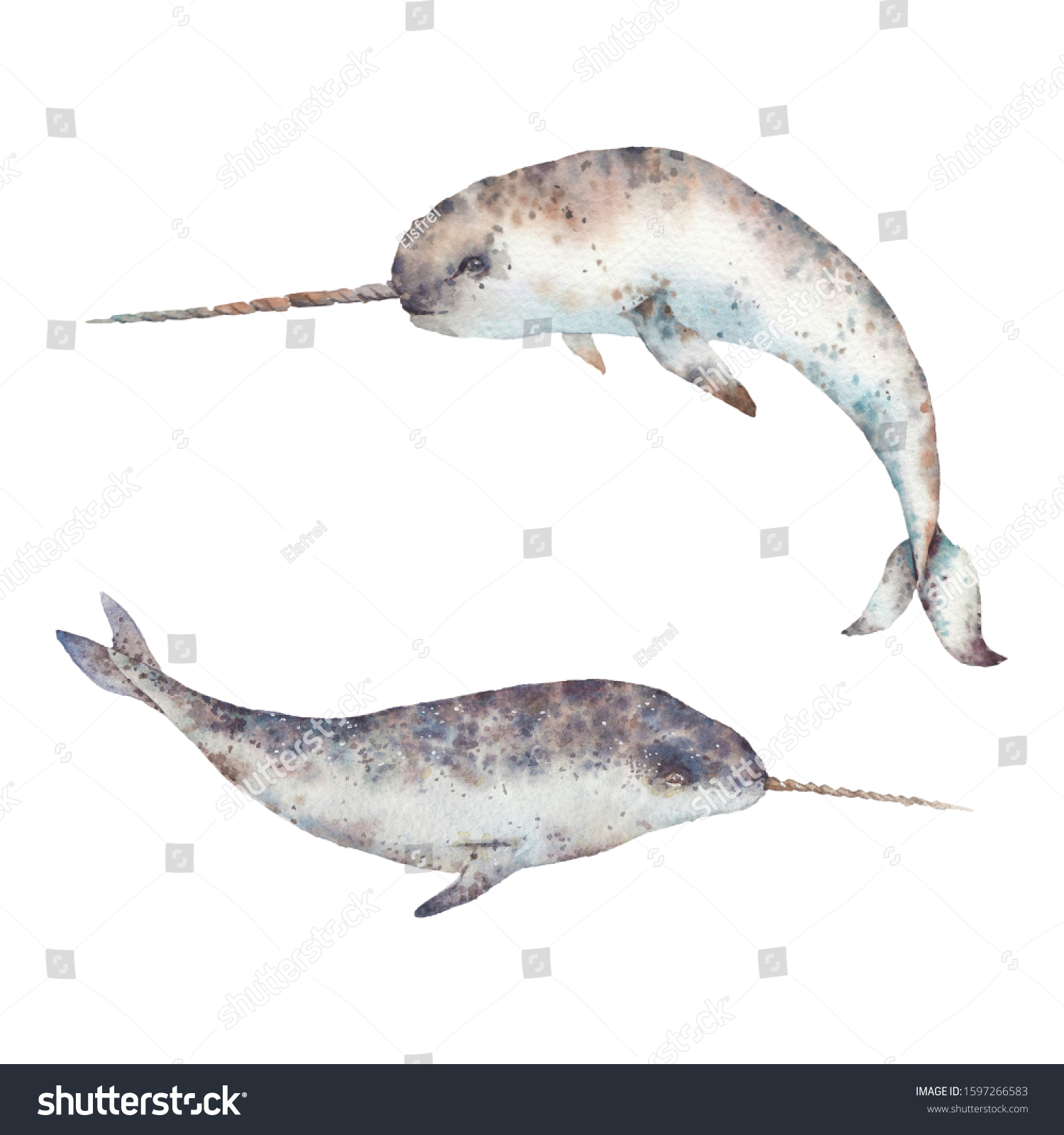 Featured image of post Narwhal Drawing Realistic Narwhals are not whales they are porpoises and most closely related to the narwhal horn is not a horn but a tusk or tooth