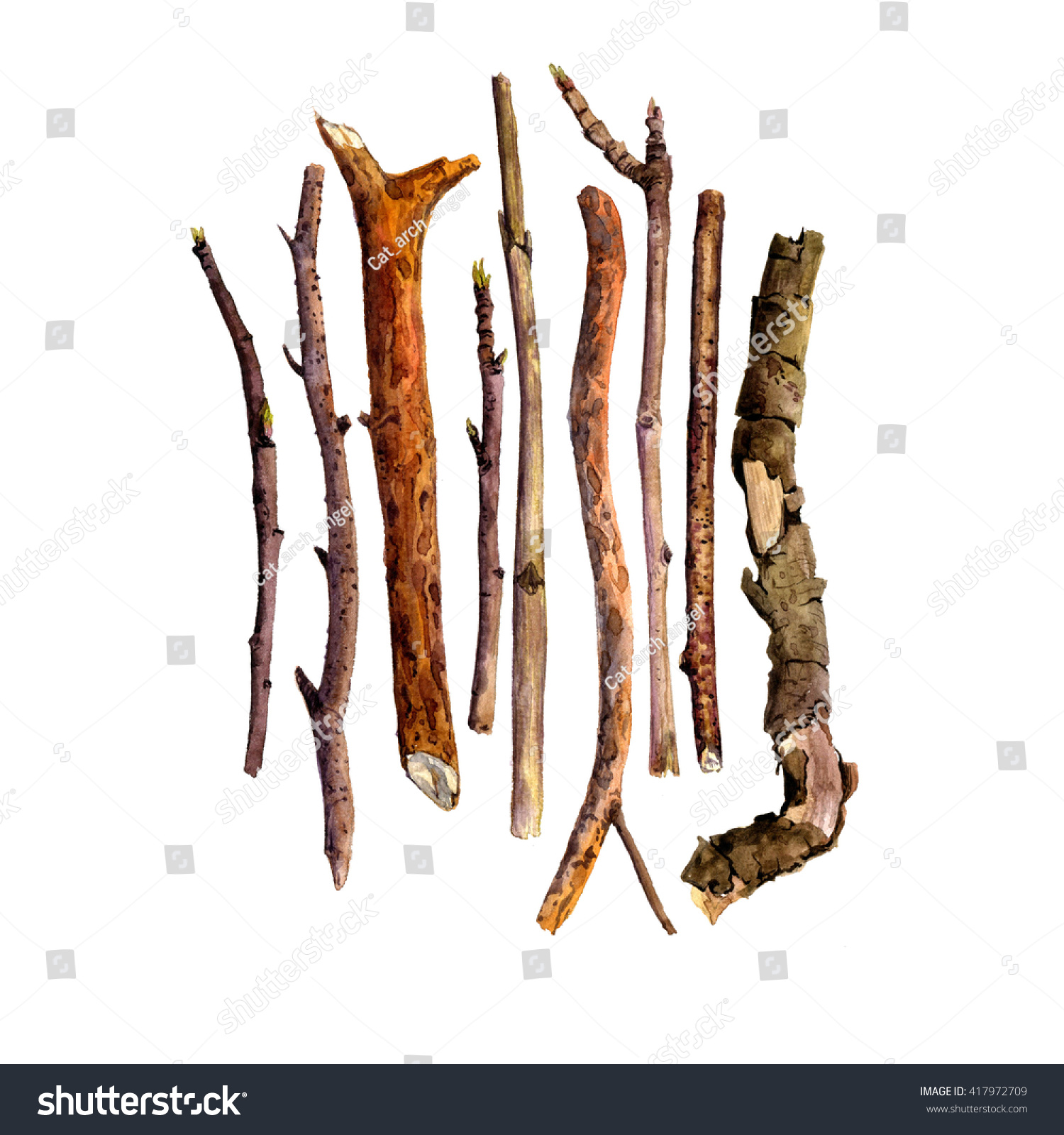 Watercolor Wood Twigsisolated Nature Objects Tree Stock Illustration ...