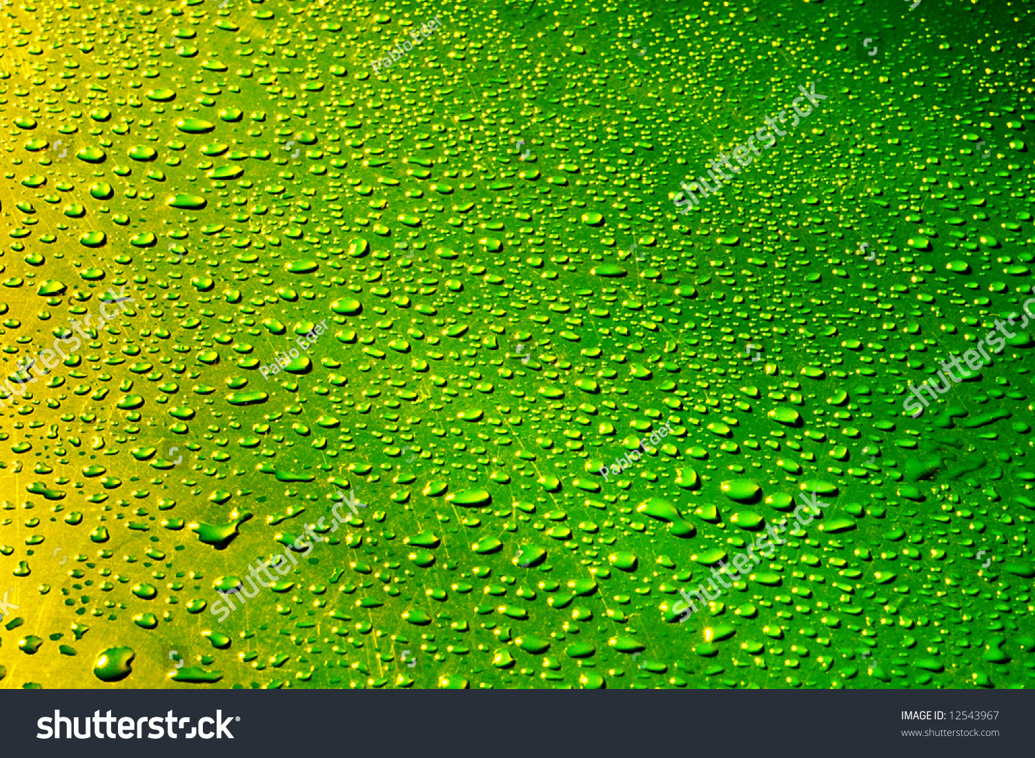 Waterdrops On Yellow Green Faded Background Stock Photo 12543967 ...