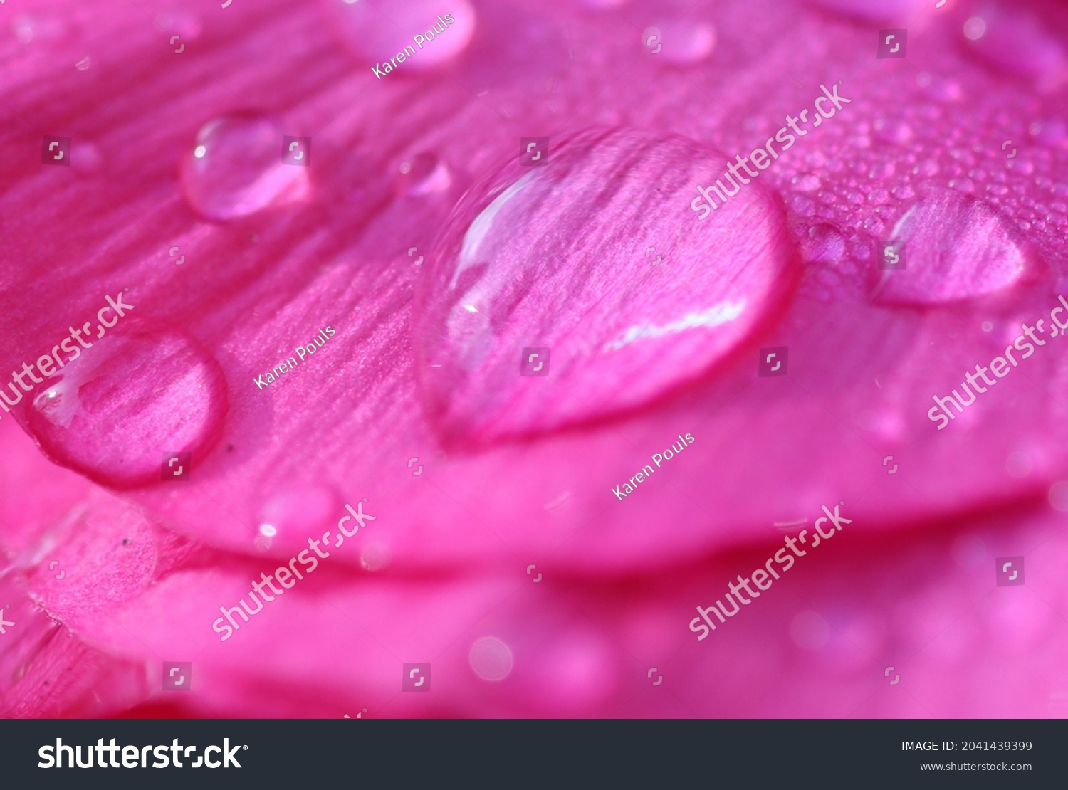 Waterdrup Images, Stock Photos & Vectors | Shutterstock