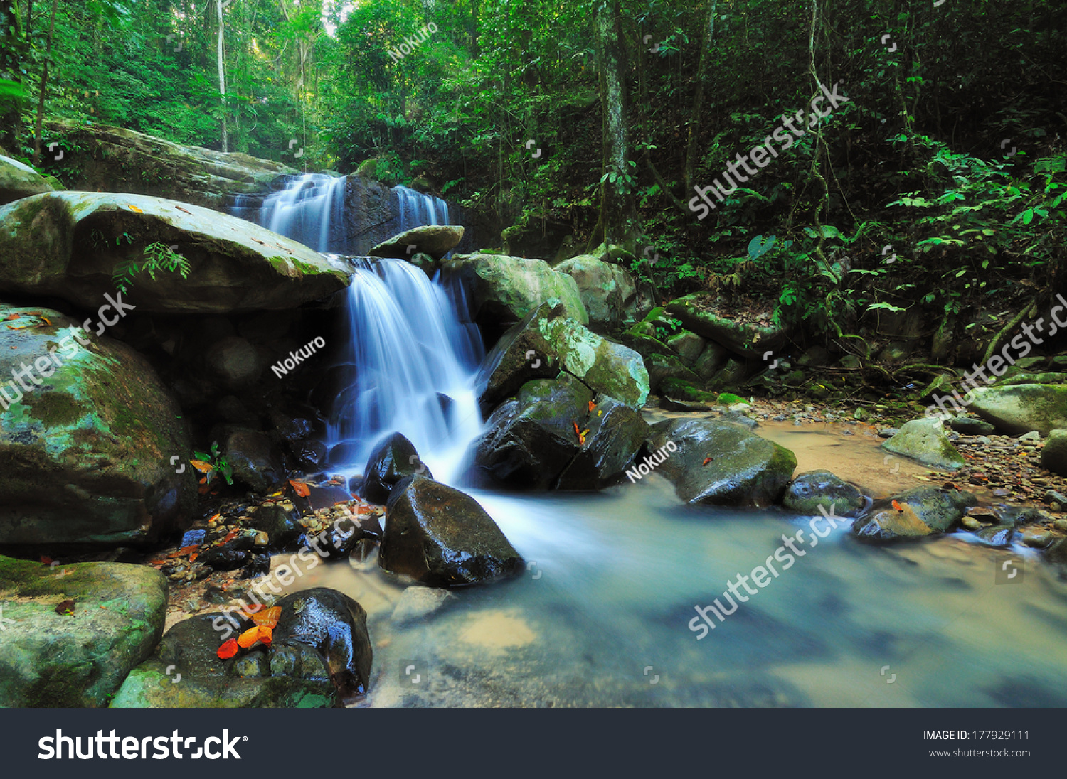 950 Borneo creek Images, Stock Photos & Vectors | Shutterstock