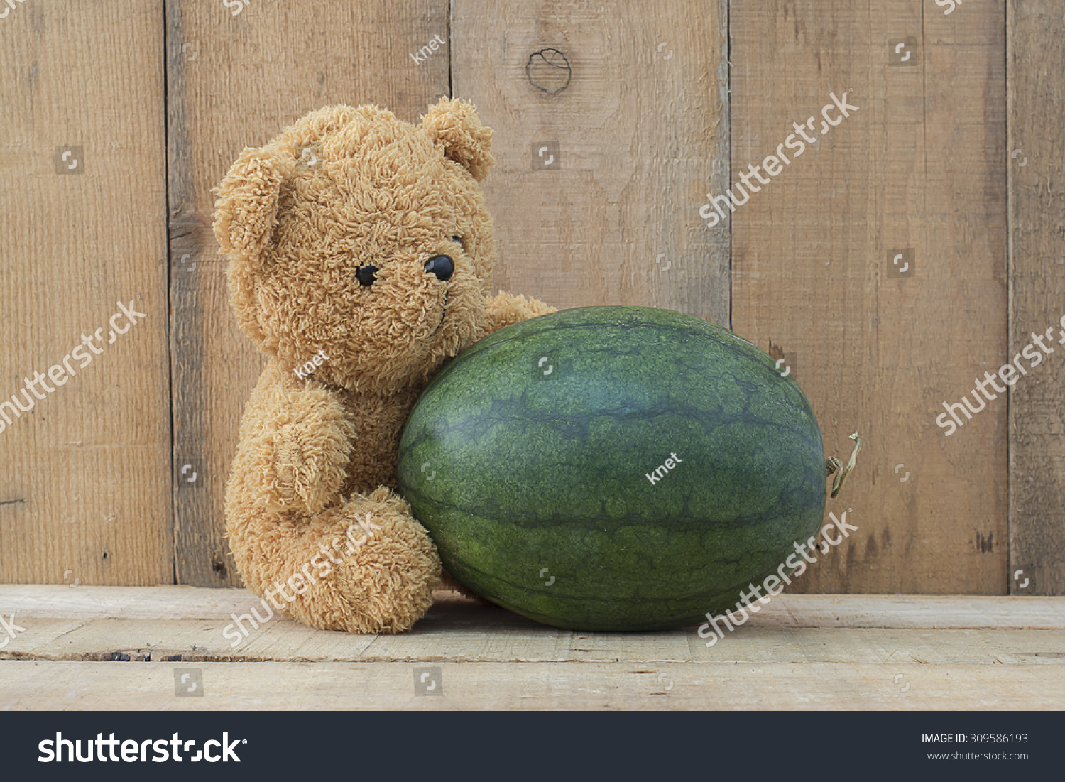 watermelon teddy bear