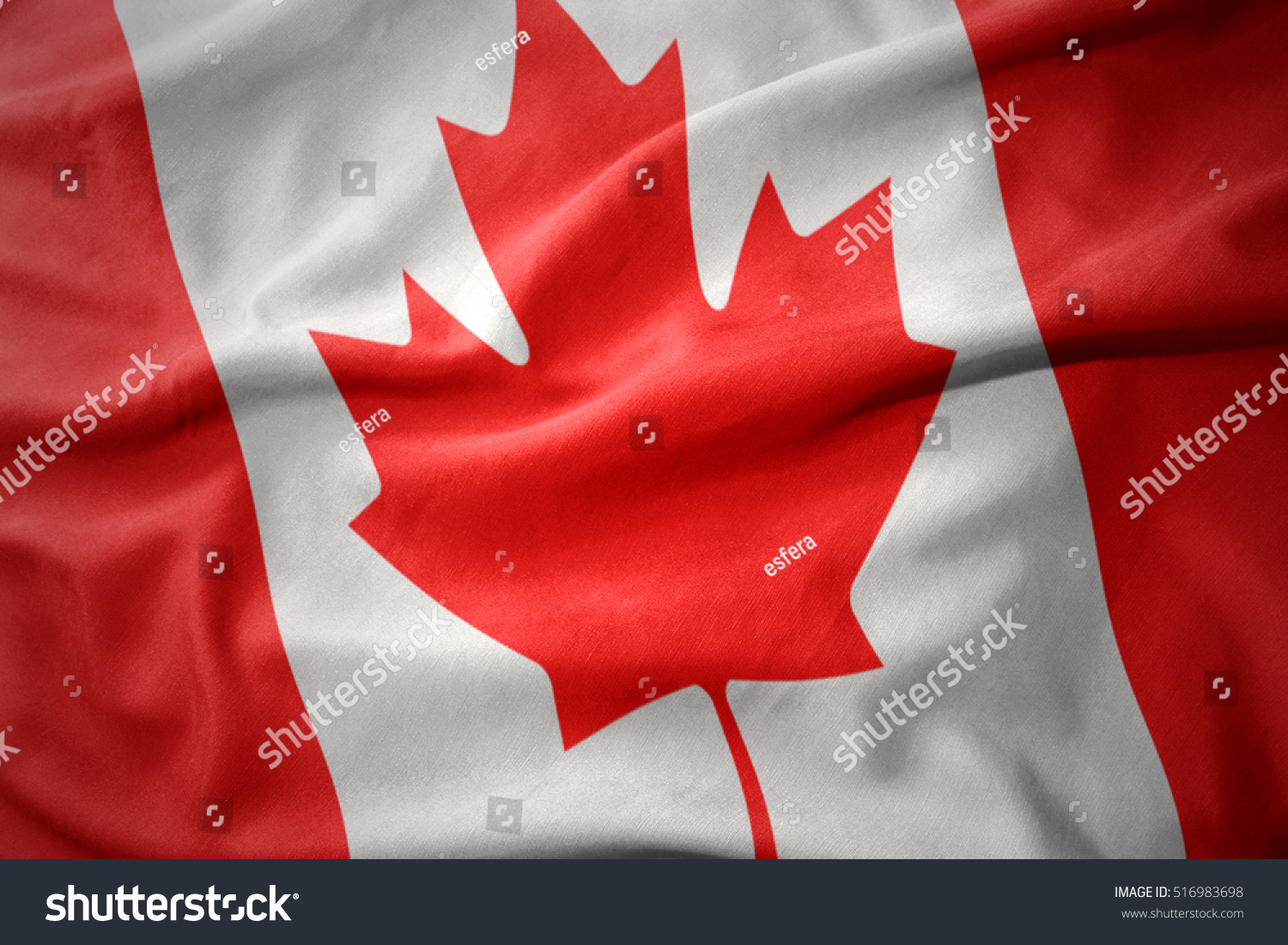 エレガントカナダ 国旗 いらすとや 動物ゾーン