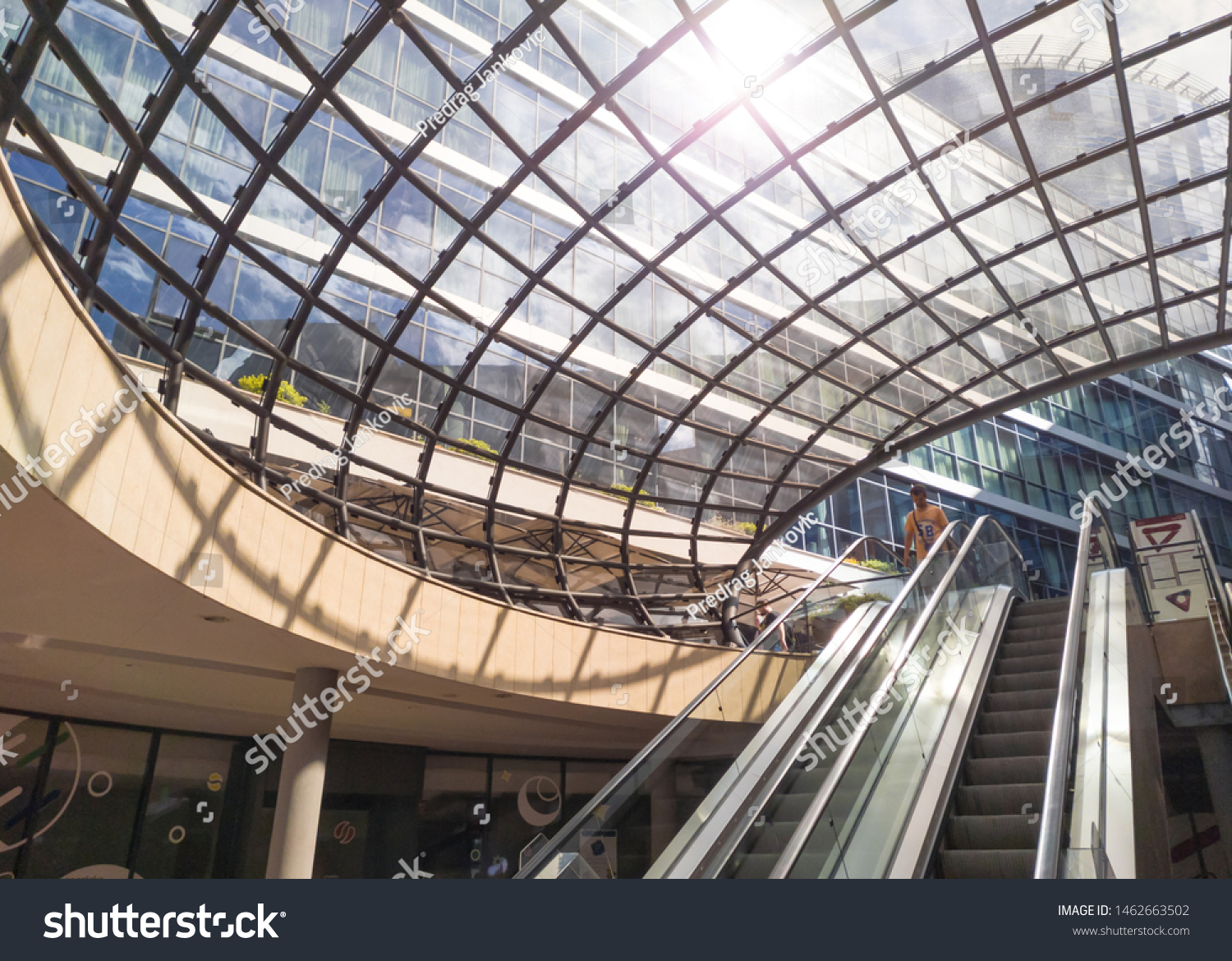 Weblike Glass Roof Shelllike Structure Covering Stock Photo Edit Now 1462663502