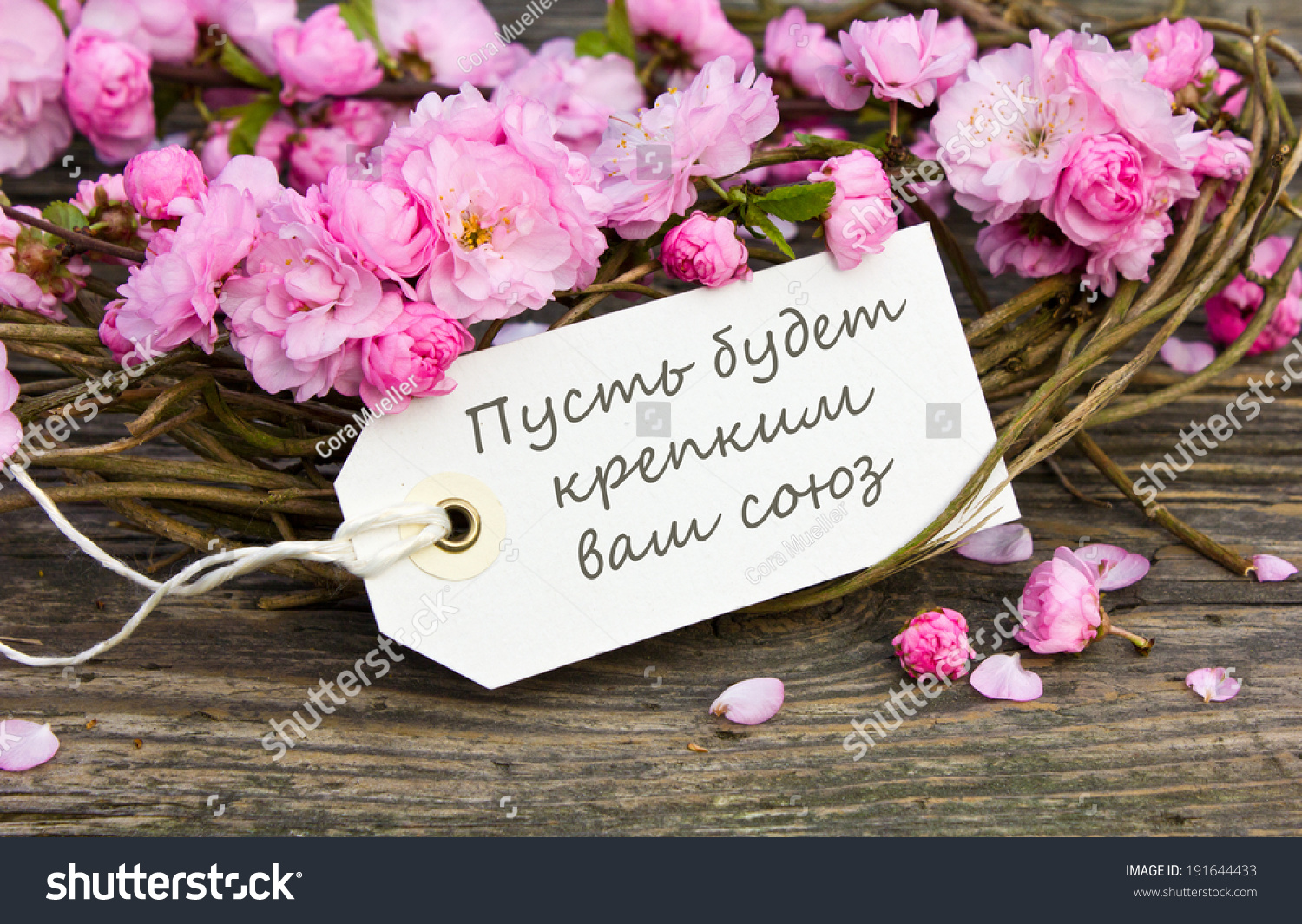  Wedding Card Pink Blossomscongratulations On Your Stock Photo 191644433 