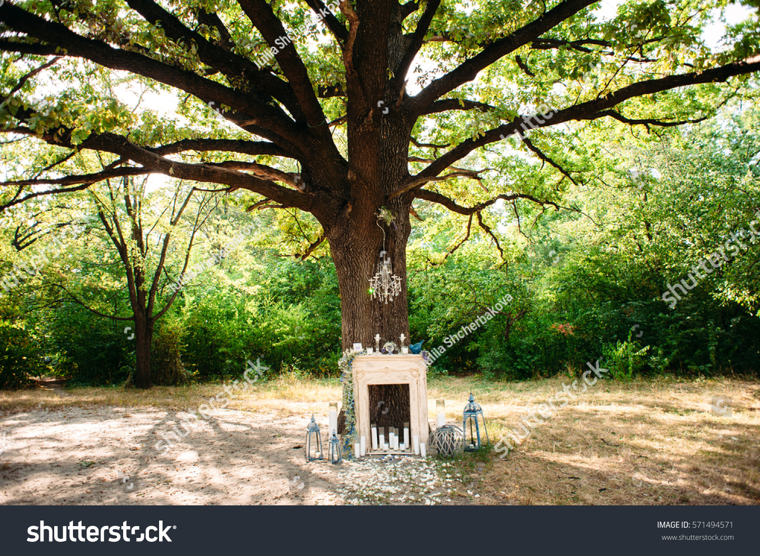 Wedding Decor Wedding Ceremony Under Big Stock Photo Edit Now