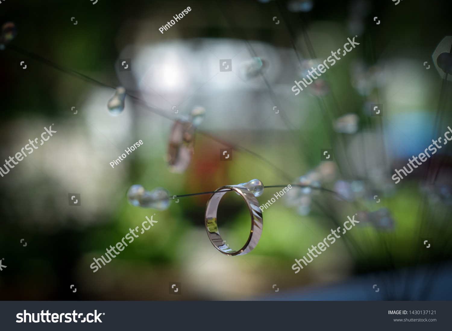 Wedding Dress Accessories Black White Stock Photo Edit Now