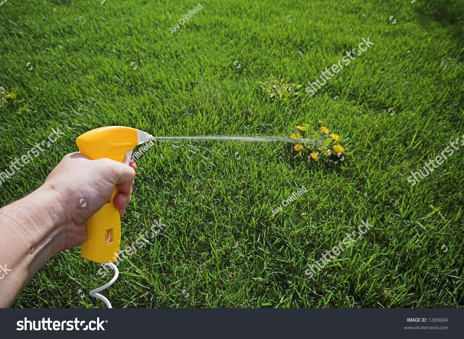 Weed Sprayer Stock Photo (Edit Now) 1289604