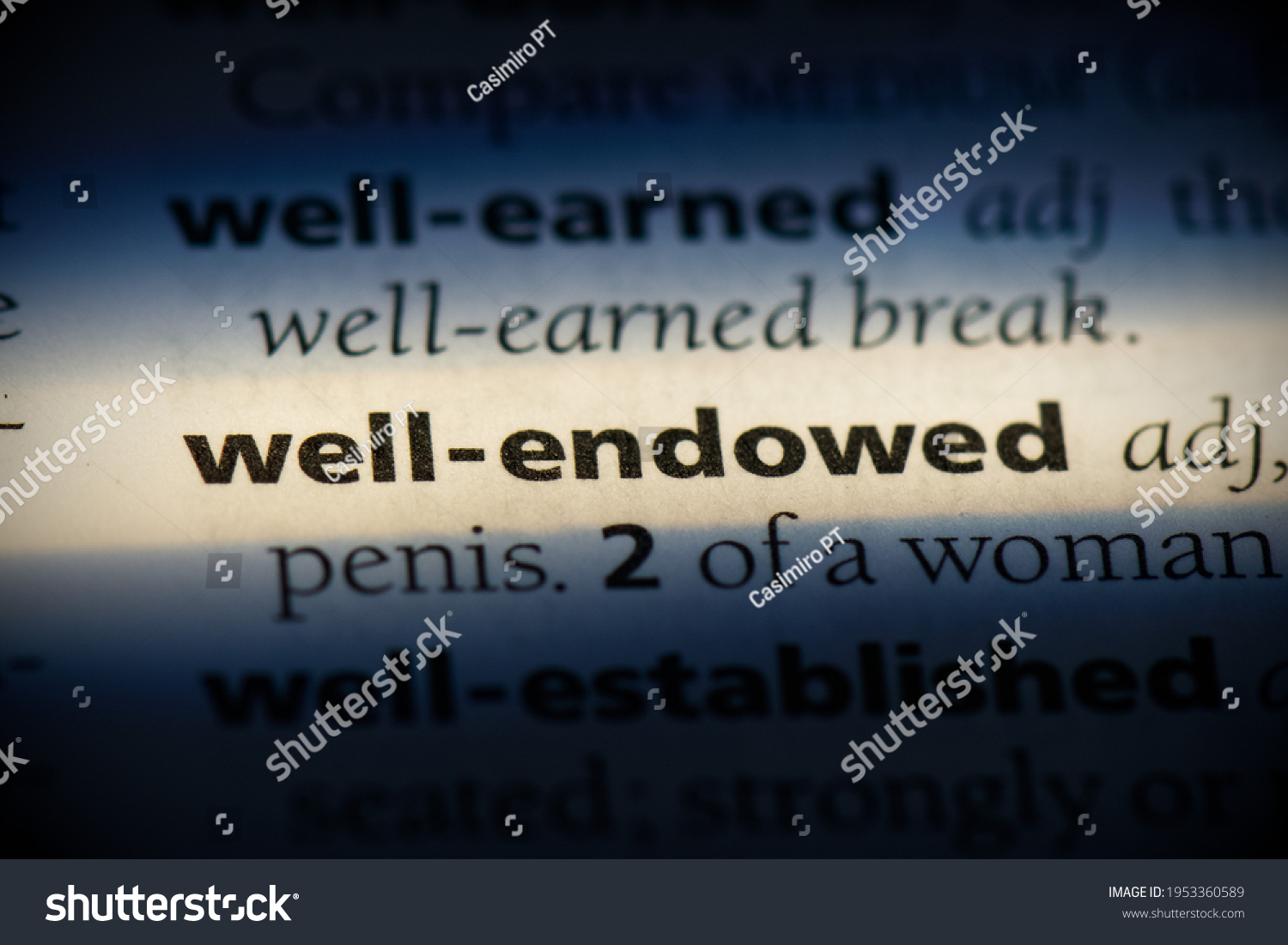 well-endowed-bilder-stockfotos-und-vektorgrafiken-shutterstock