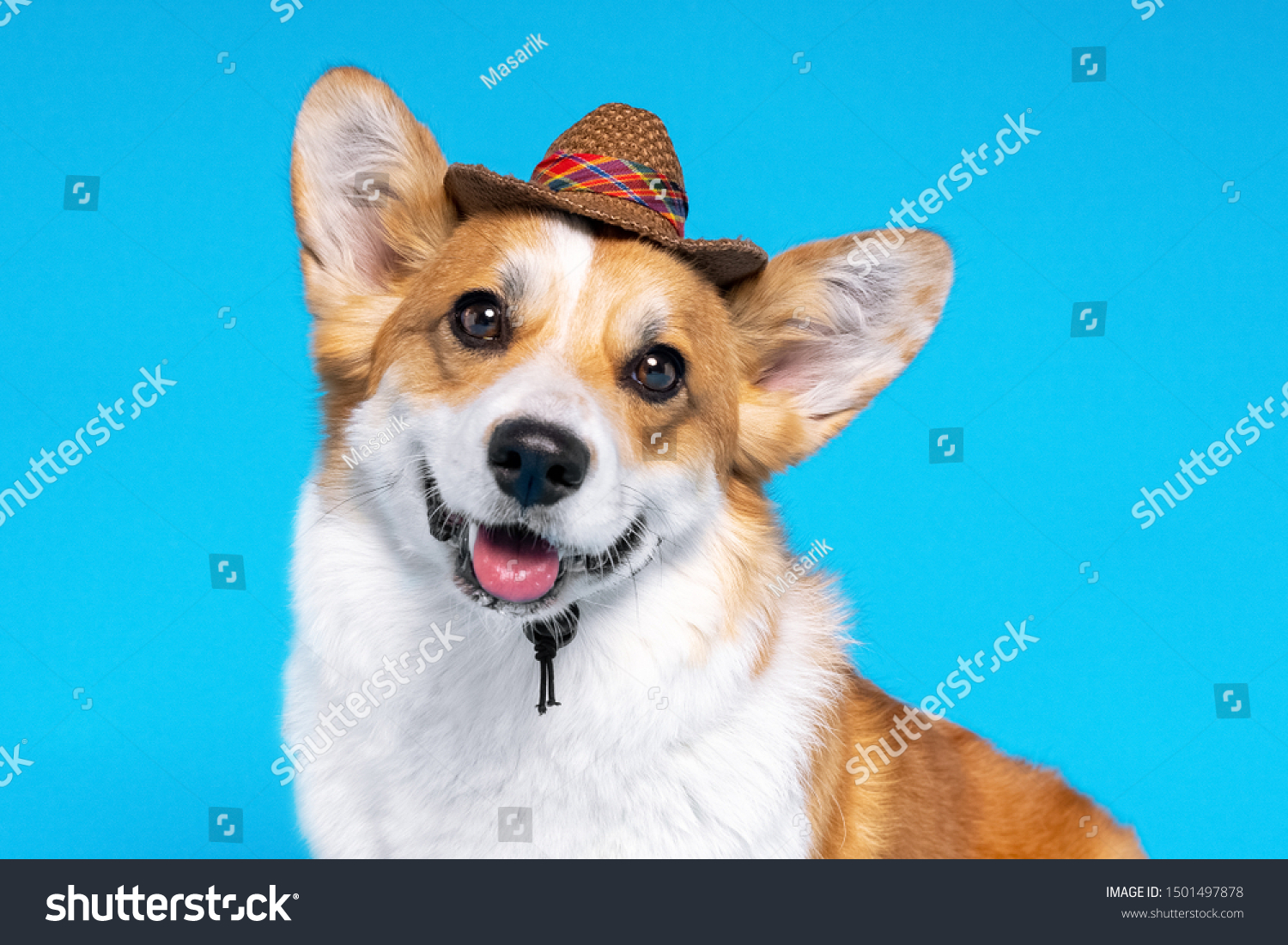 welsh cowboy hat