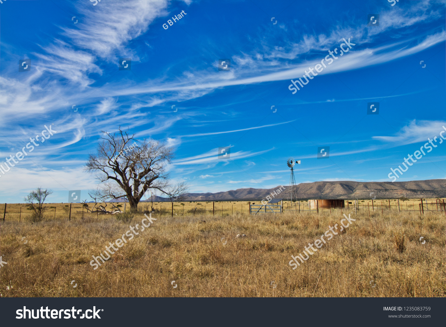 613 Texas ranch scenery Images, Stock Photos & Vectors | Shutterstock