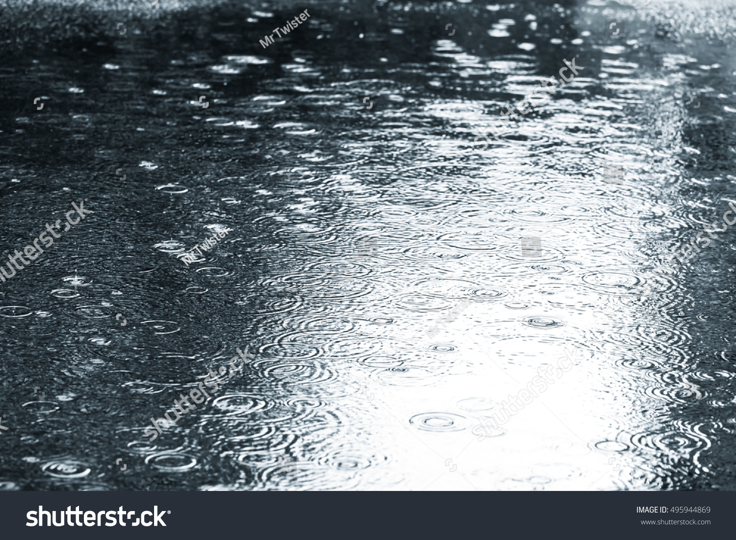 Wet Asphalt Raindrops On Water Puddle Stock Photo 495944869 | Shutterstock