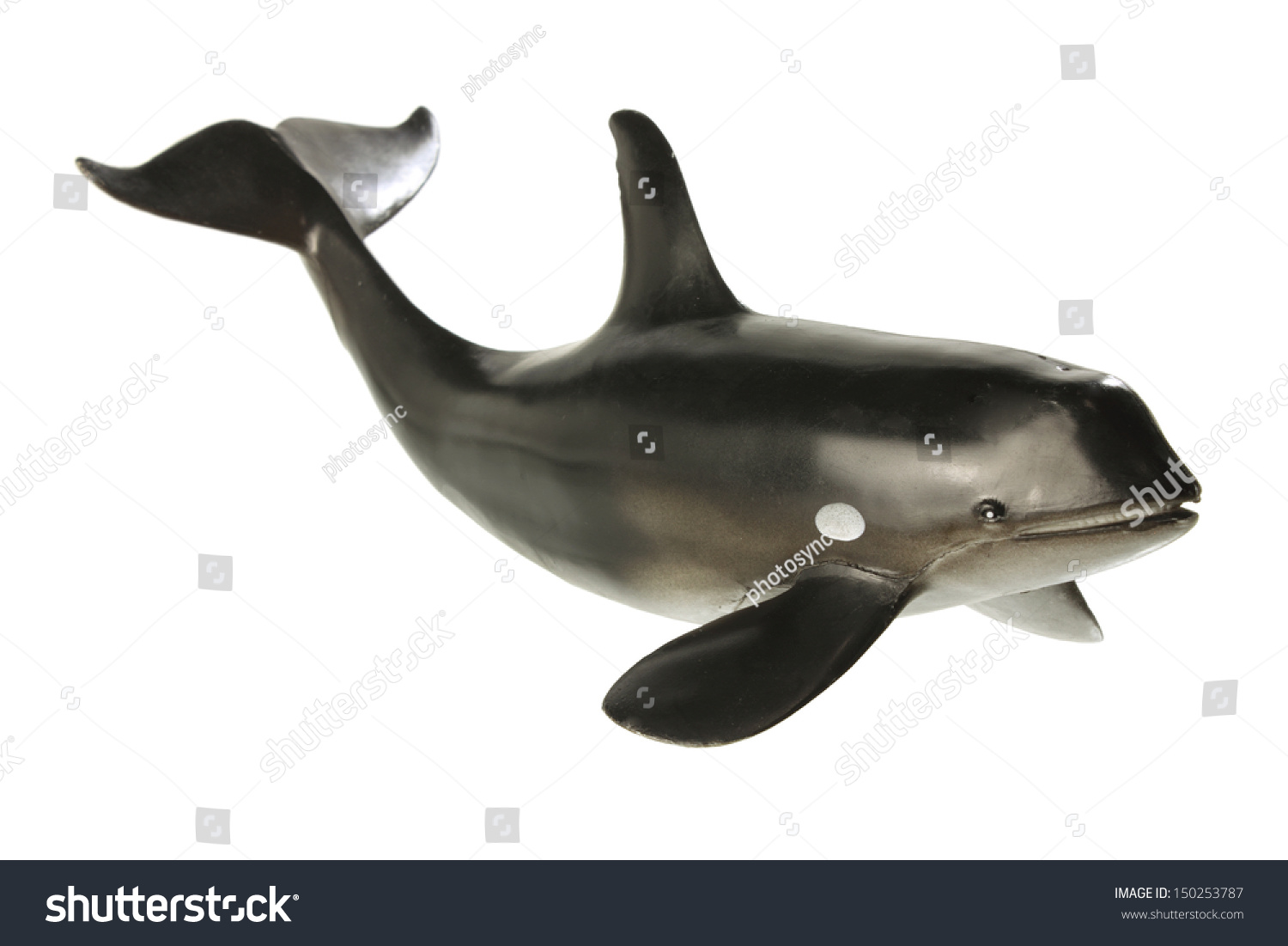 Whale On White Background Stock Photo 150253787 : Shutterstock