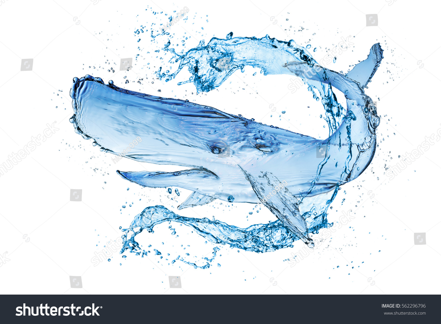 Whale Water Splash Make Water Isolate Stock Photo 562296796 Shutterstock