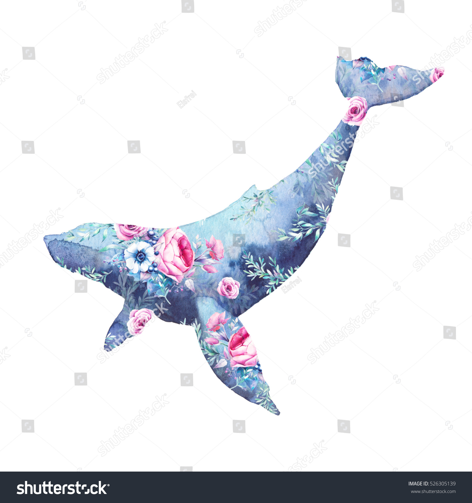 鯨と花の絵 ブルーホジラとアネモネ バラ 牡丹ブーケ柄の水彩画 白い背景に手描きの動物のシルエット クリエイティブな自然イラスト のイラスト素材