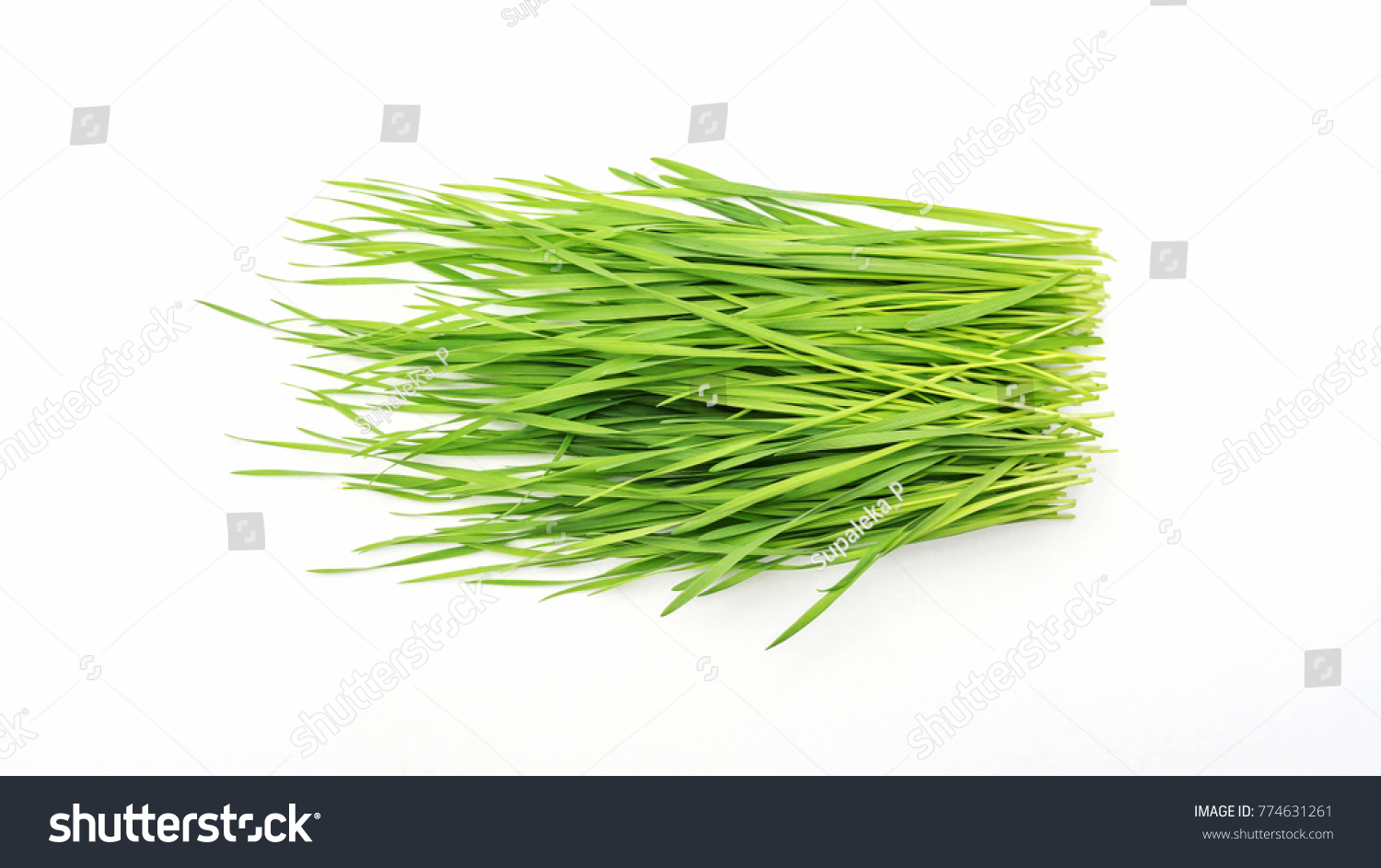 Wheatgrass Stock Photos, Images & Photography | Shutterstock