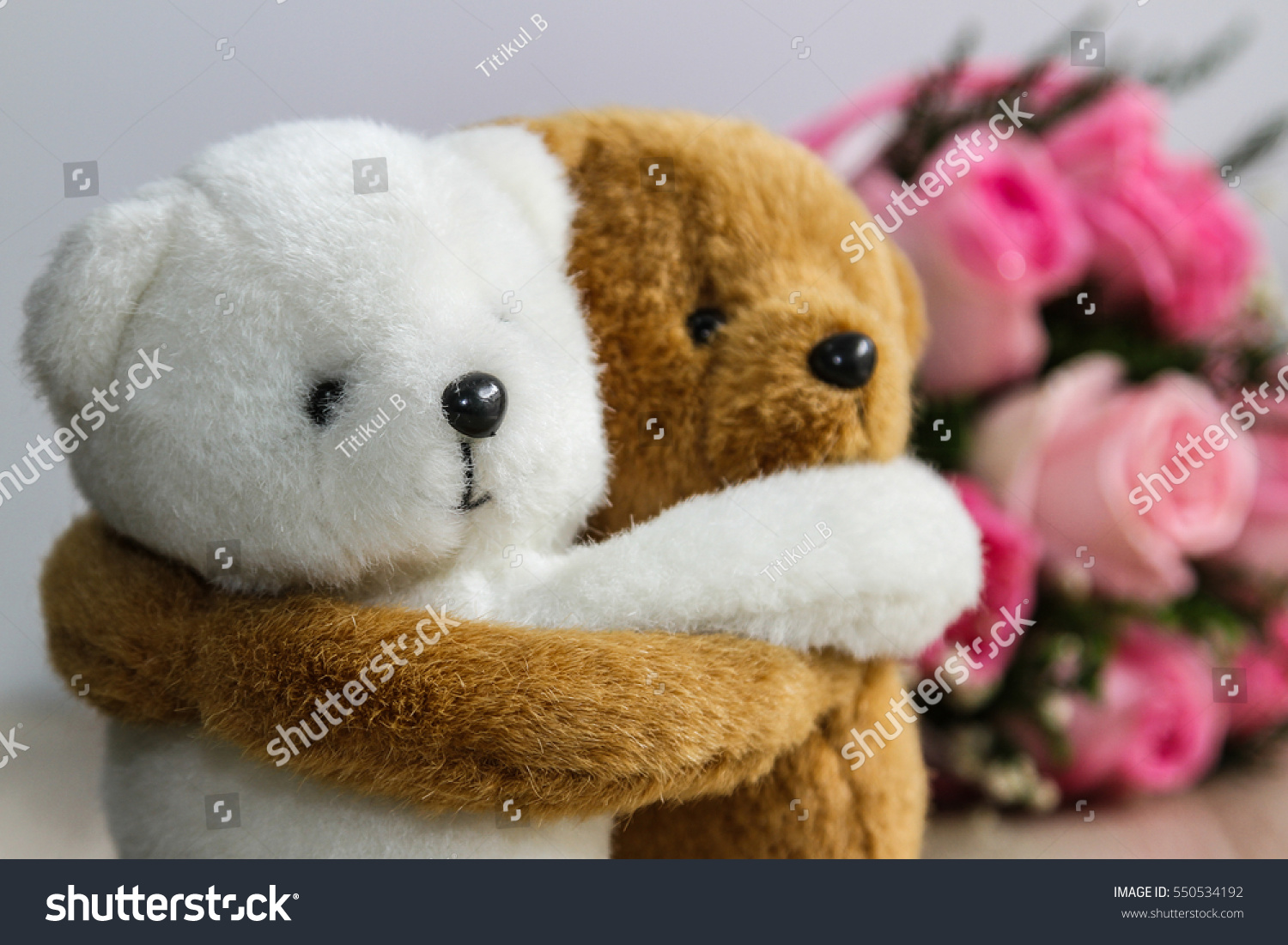 white and brown teddy bear