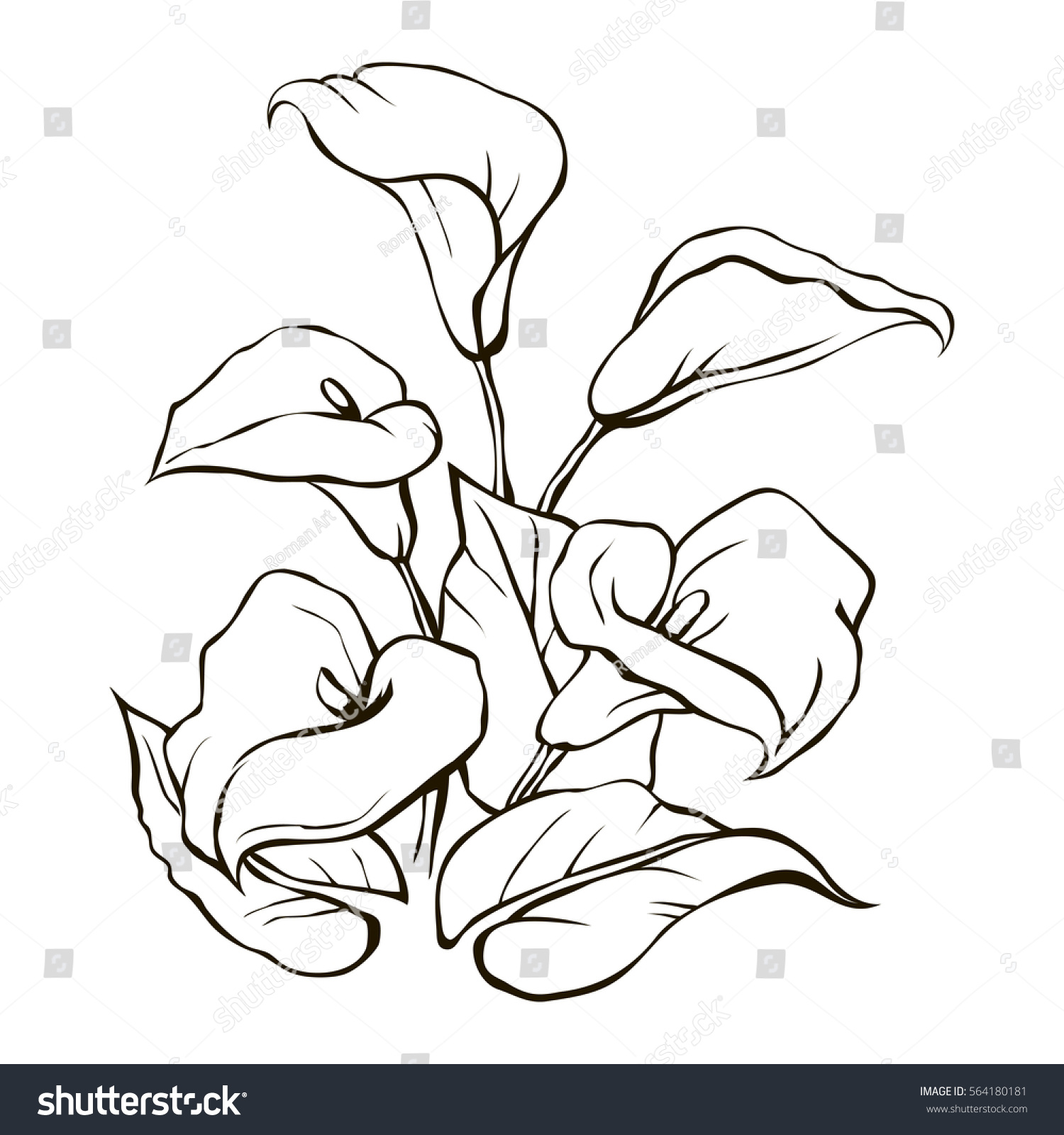 4,077 Calla lilies graphic Images, Stock Photos & Vectors | Shutterstock