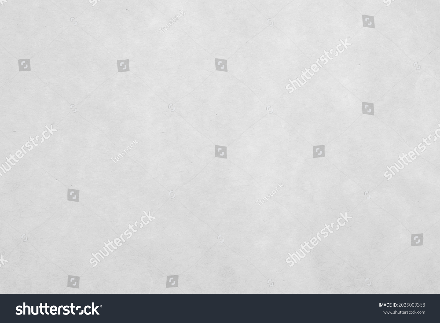 White Cardboard Paper Look Like White Stock Photo (Edit Now) 2025009368