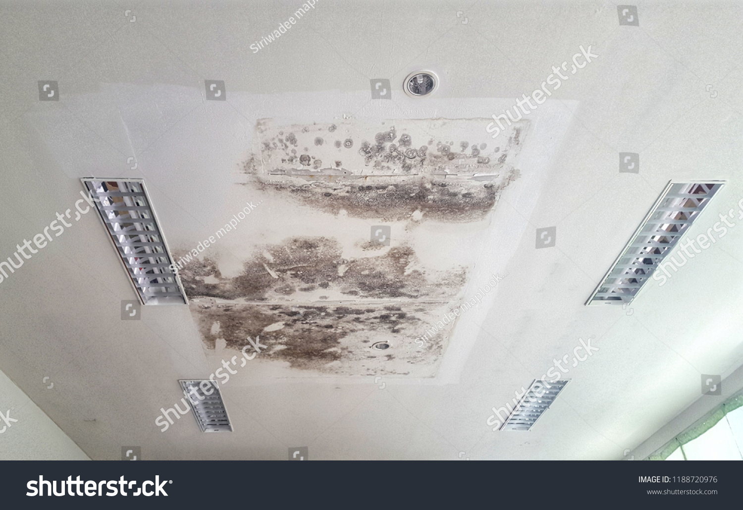 White Ceiling Broken Black Stains Stock Photo Edit Now 1188720976