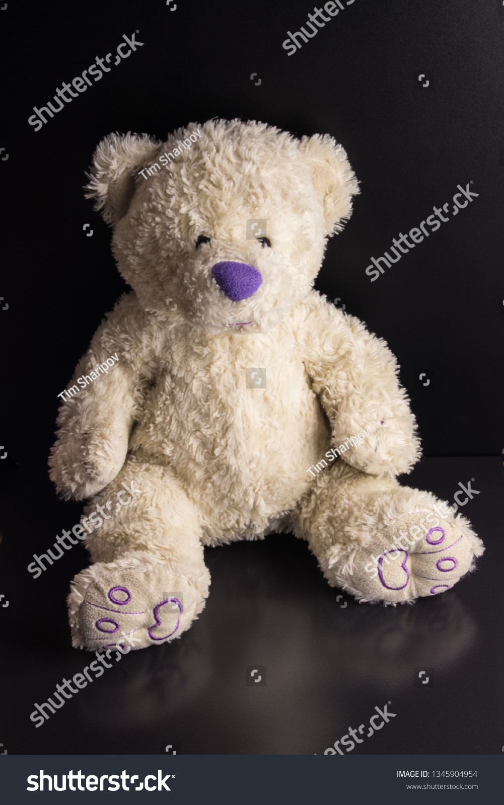 dark purple teddy bear