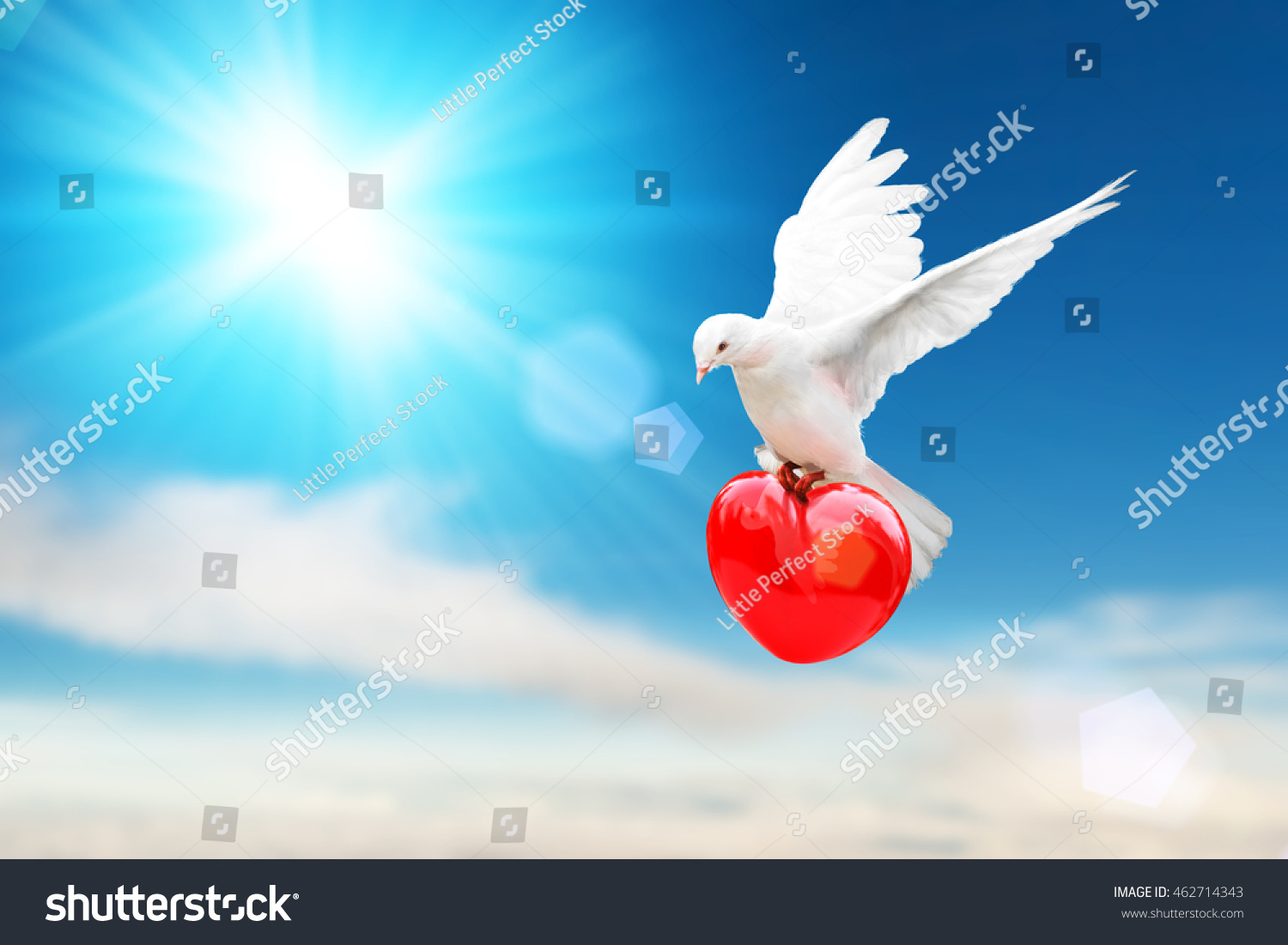 bird international happiness symbol of 2016 sky international of peace love day and bird concept and freedom